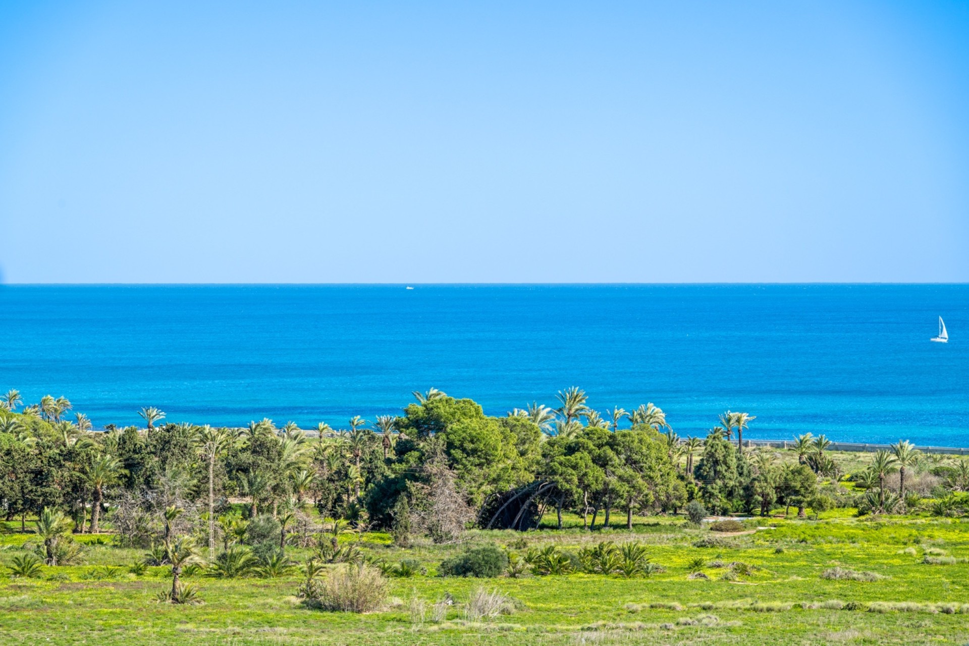 Herverkoop - Apartment - Torrevieja - Rocio del Mar