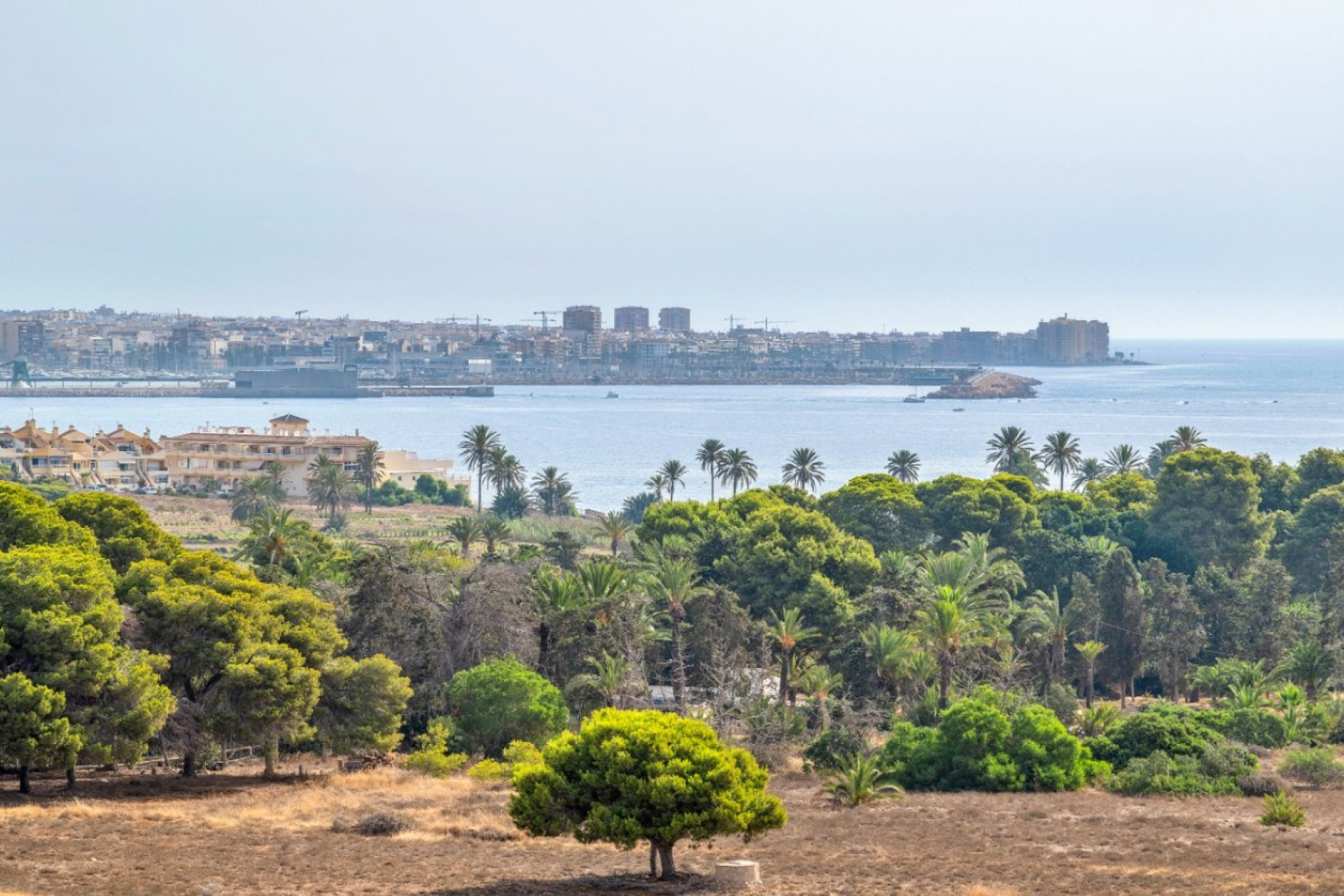 Herverkoop - Apartment - Torrevieja - Rocio del Mar