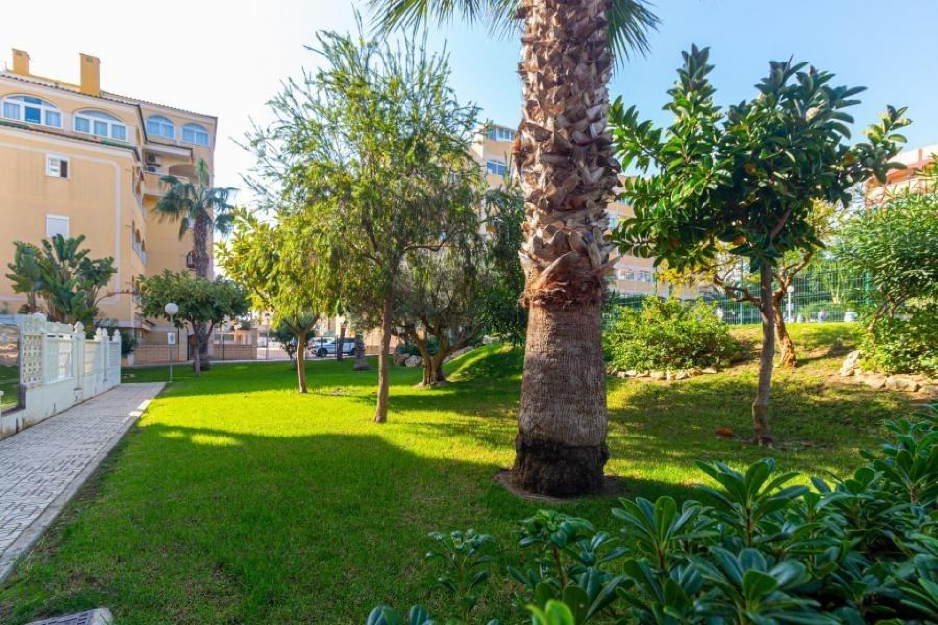 Herverkoop - Apartment - Torrevieja - Torreblanca