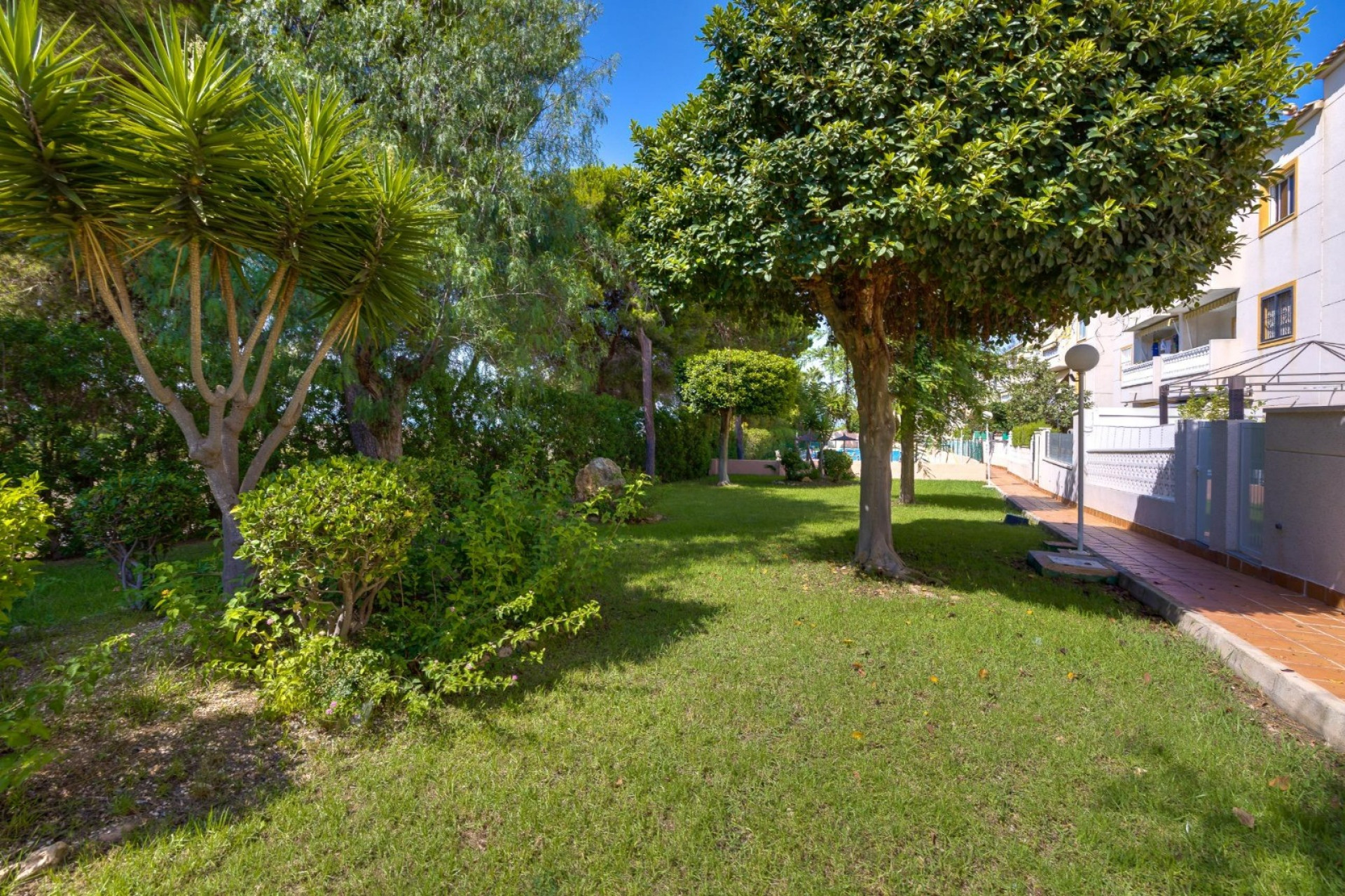 Herverkoop - Apartment - Torrevieja - Torreblanca