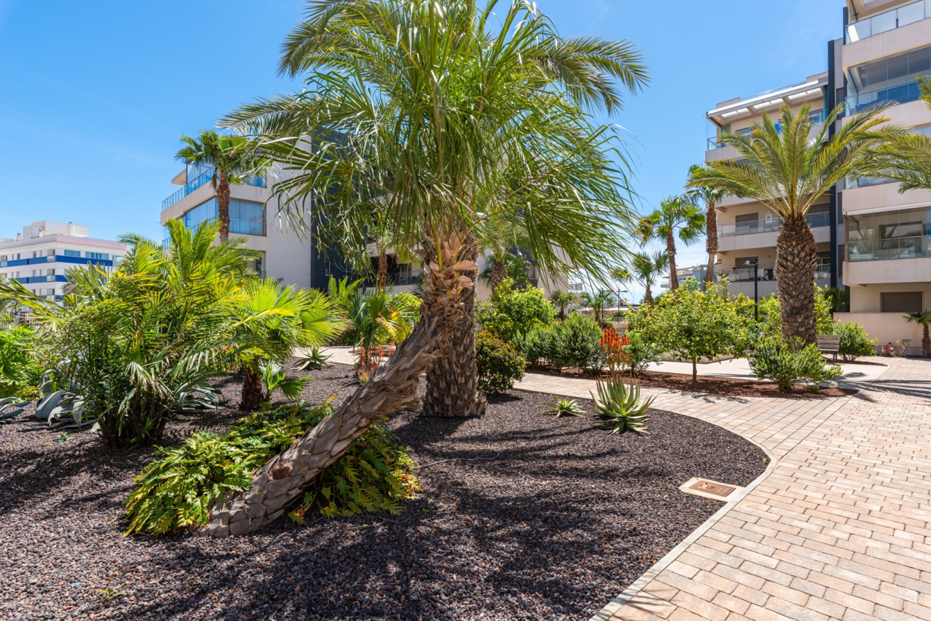 Herverkoop - Apartments - Orihuela Costa - Los Dolses