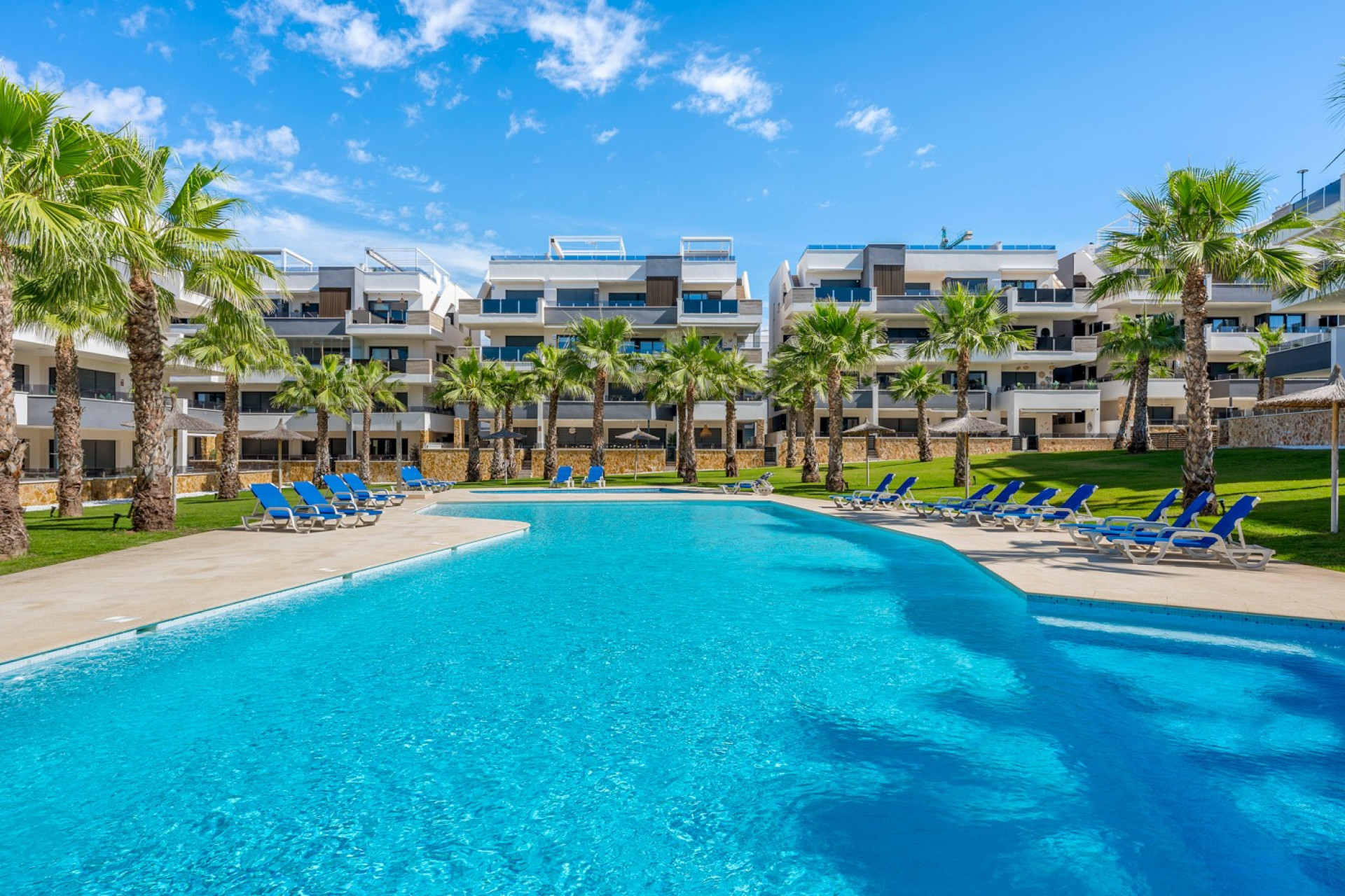 Herverkoop - Appartement - Studio - Orihuela Costa - Los Altos