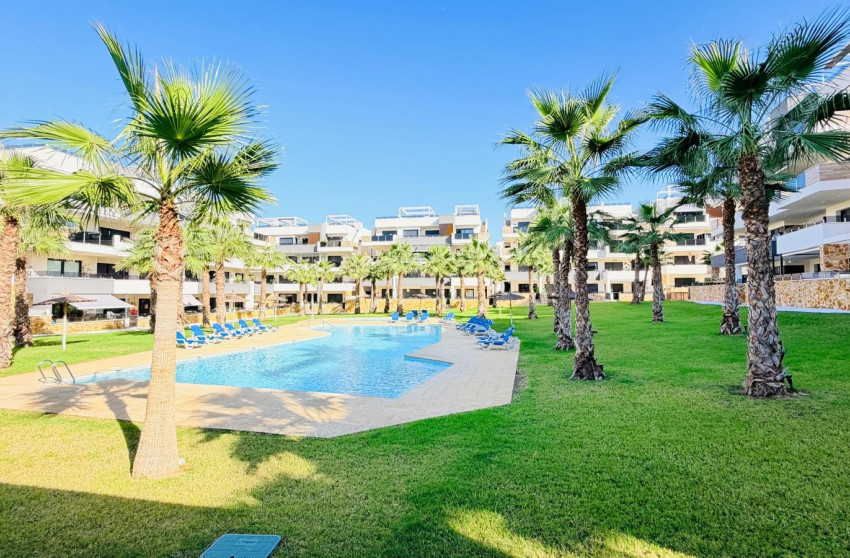 Herverkoop - Appartement - Studio - Orihuela Costa - Los Altos