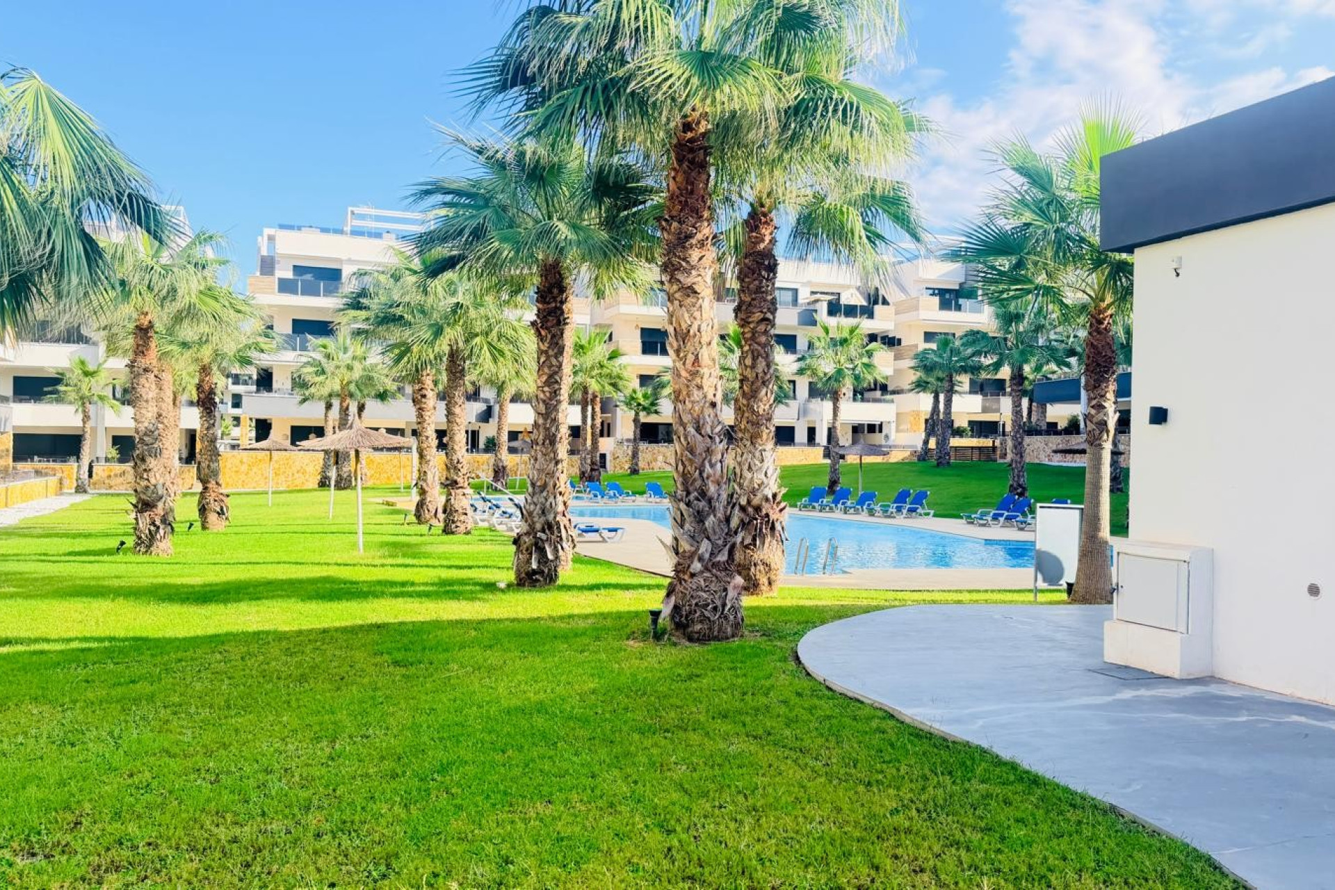 Herverkoop - Appartement - Studio - Orihuela Costa - Los Altos