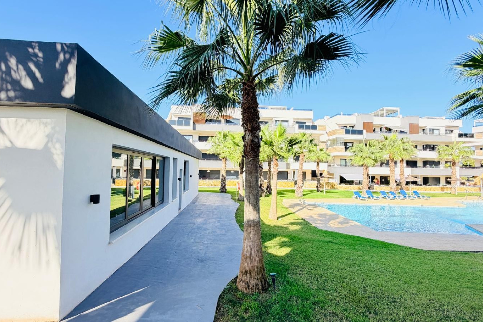 Herverkoop - Appartement - Studio - Orihuela Costa - Los Altos
