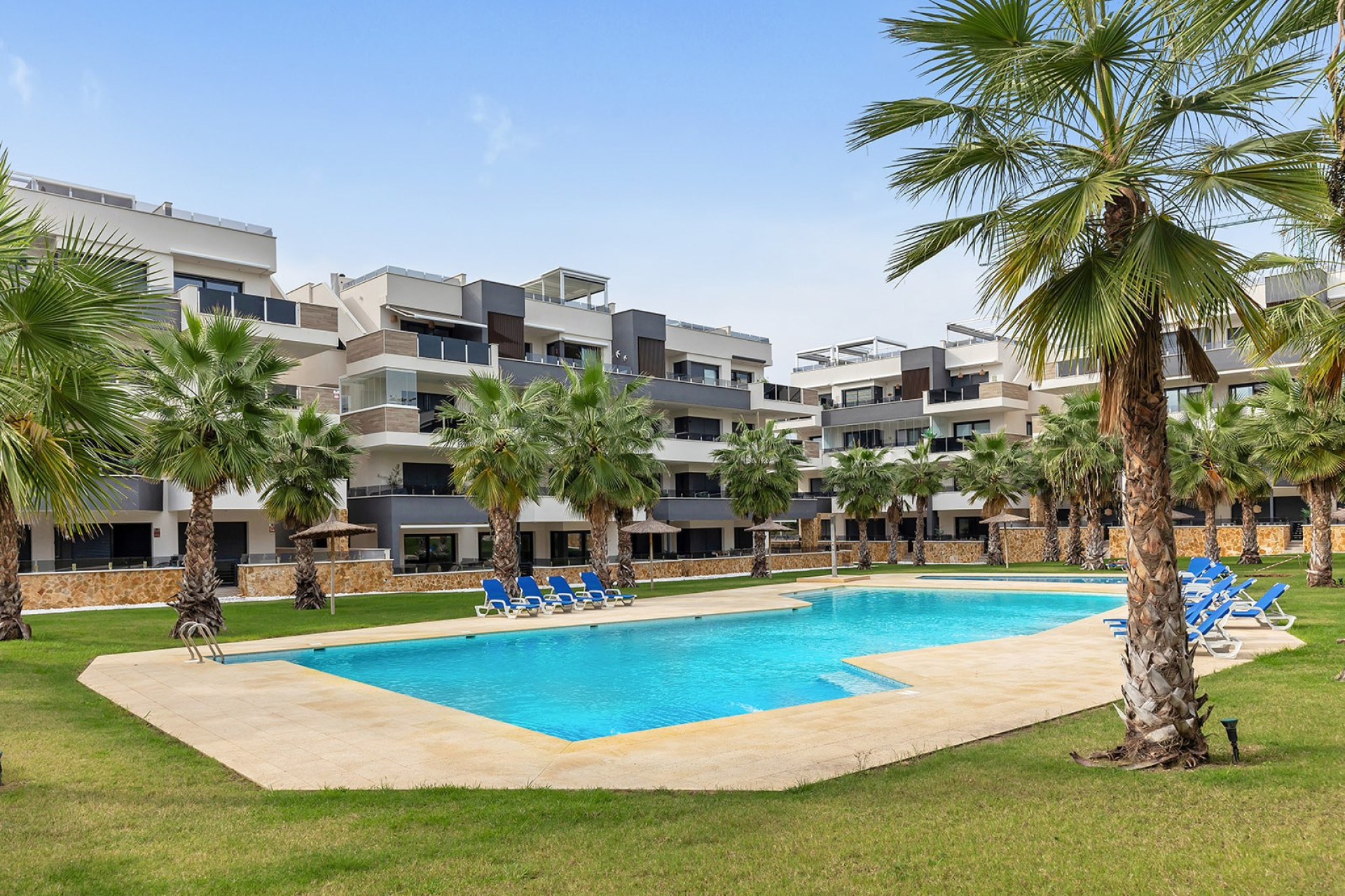 Herverkoop - Appartement - Studio - Orihuela Costa - Orihuela