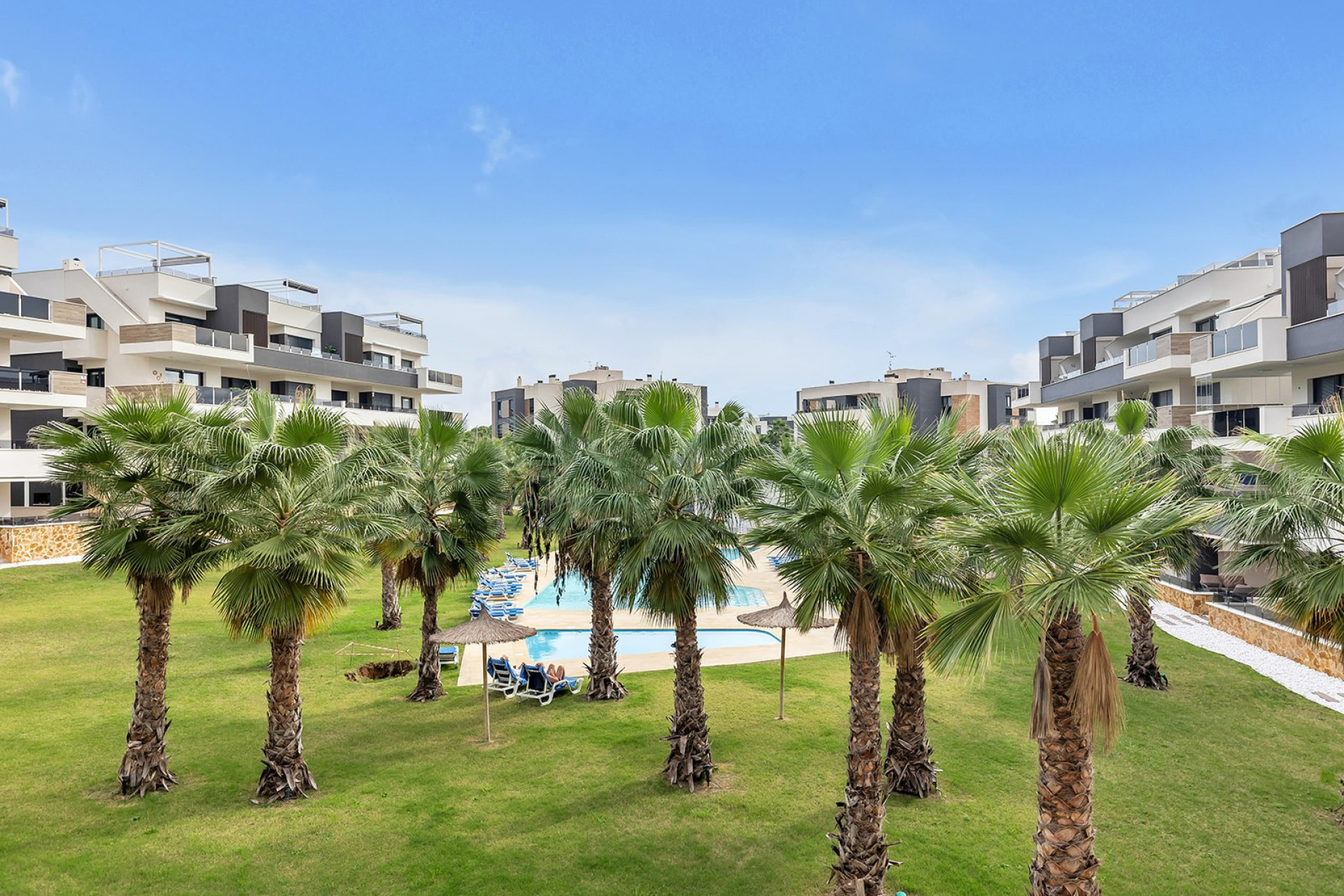 Herverkoop - Appartement - Studio - Orihuela Costa - Orihuela
