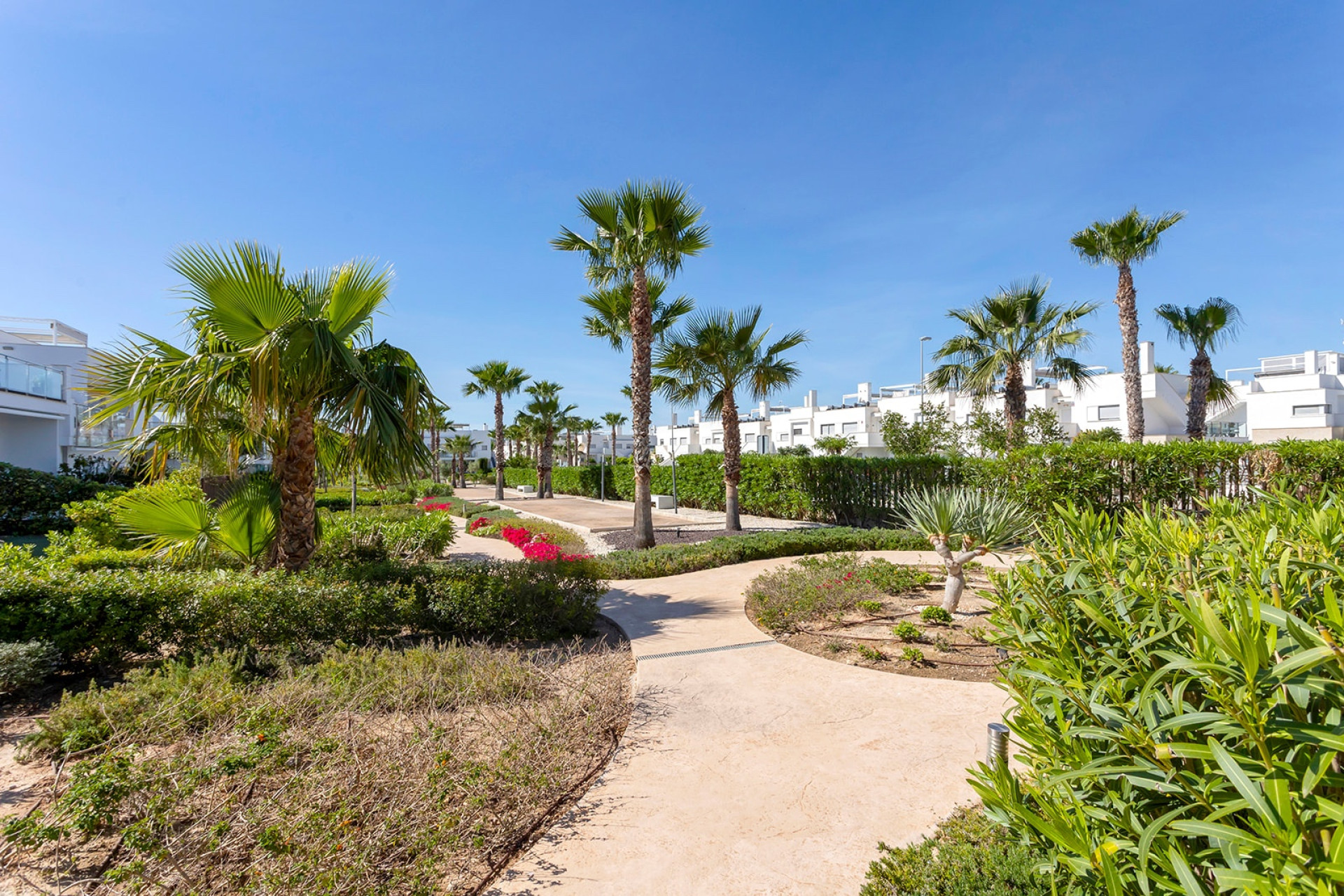 Herverkoop - Appartement - Studio - Vistabella Golf