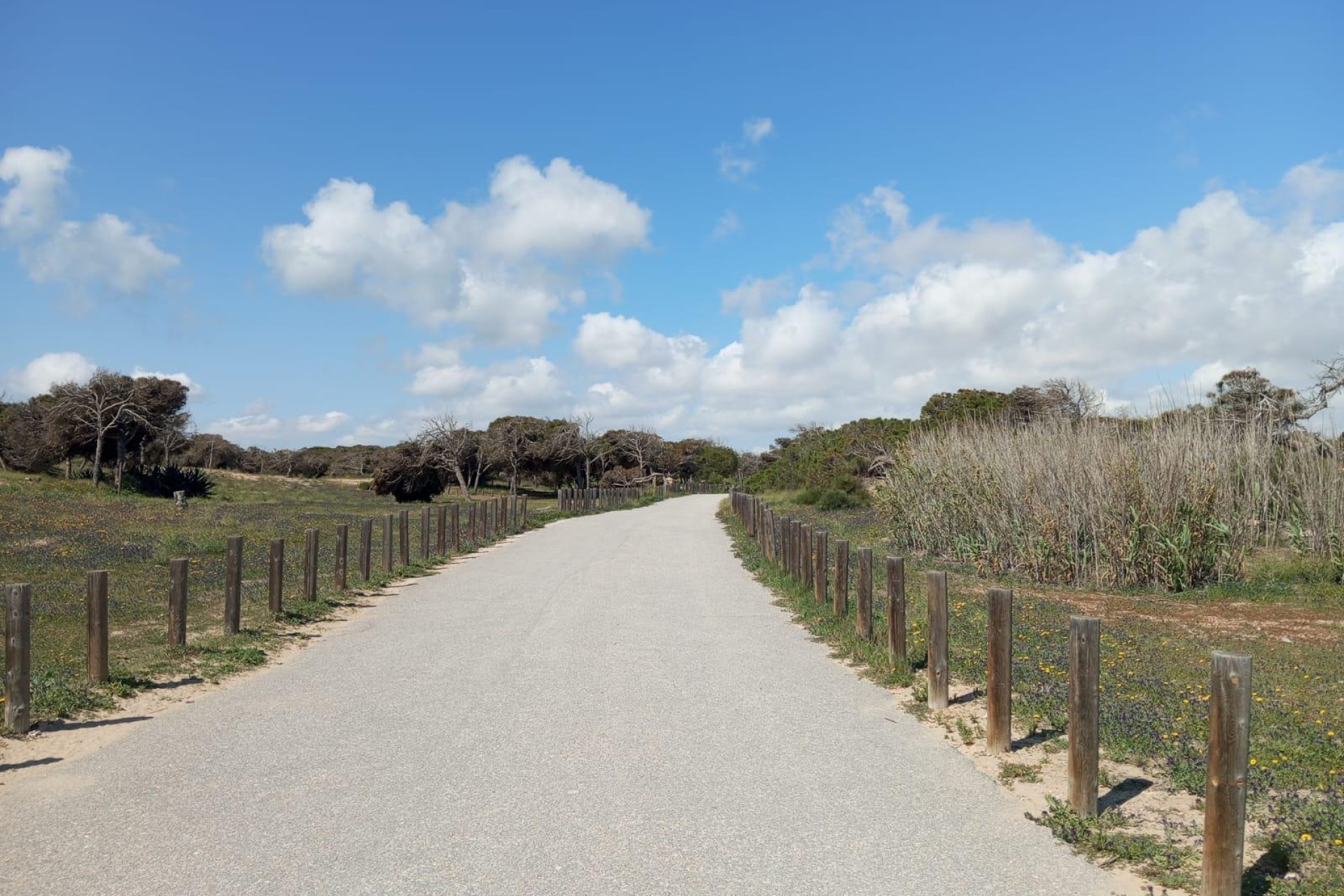 Herverkoop - Bungalow - Gelijkvloers - Guardamar del Segura - Urbanizaciones