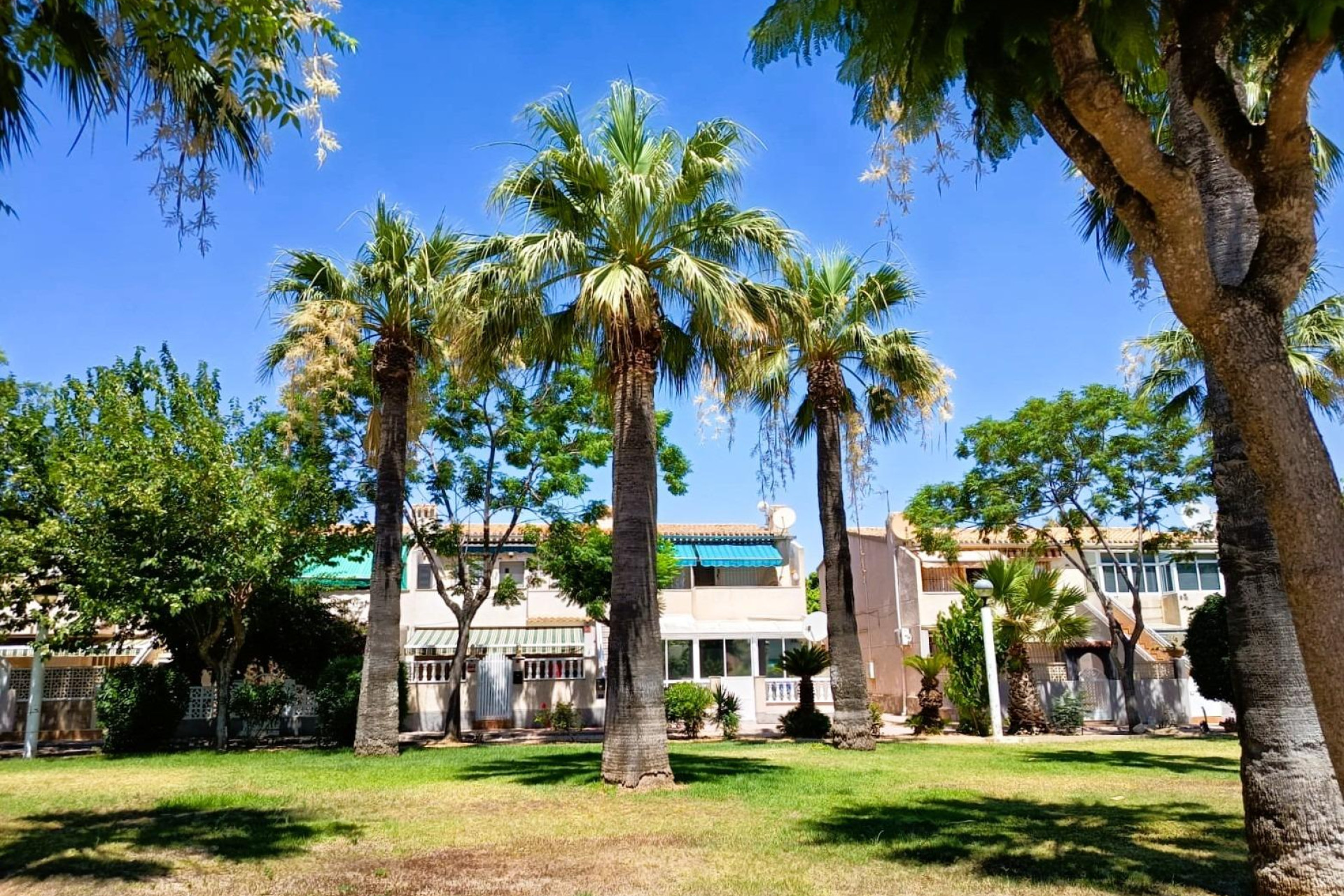 Herverkoop - Bungalow - Gelijkvloers - Orihuela Costa - La Regia