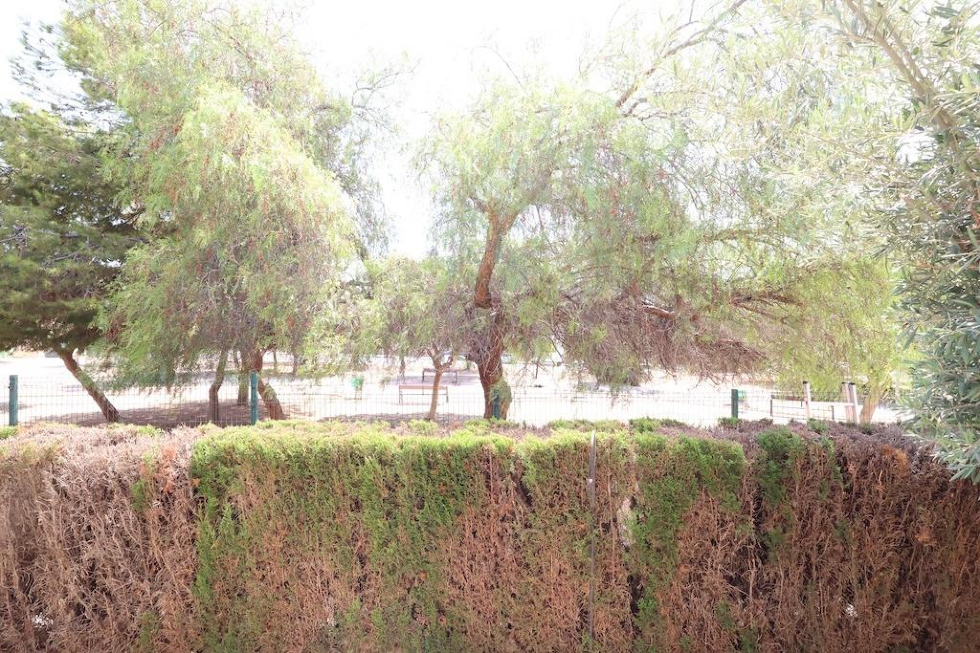 Herverkoop - Bungalow - Gelijkvloers - Orihuela Costa - Punta Prima