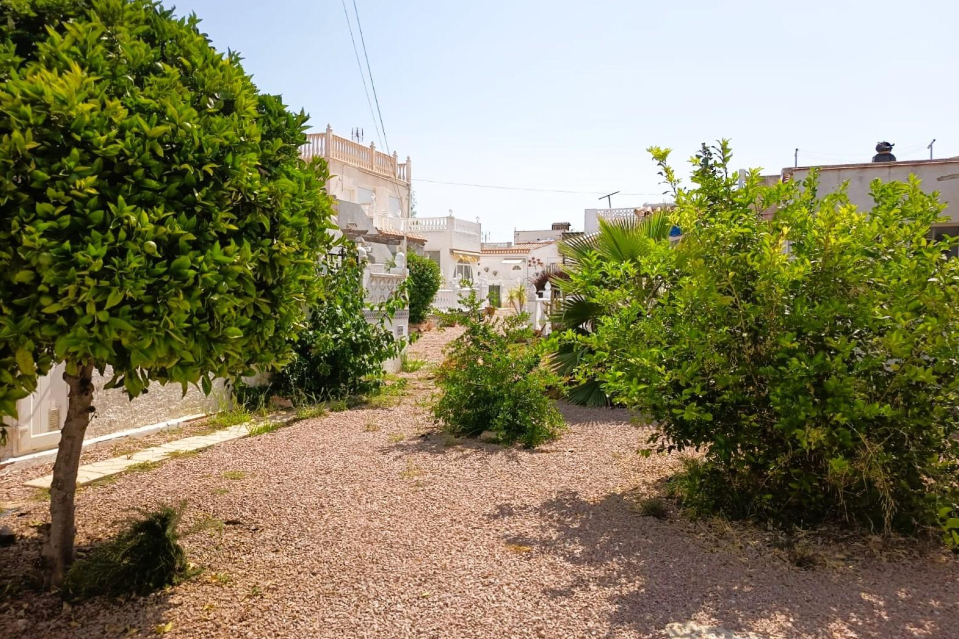 Herverkoop - Bungalow - Gelijkvloers - Torrevieja - La Siesta - El Salado - Torreta
