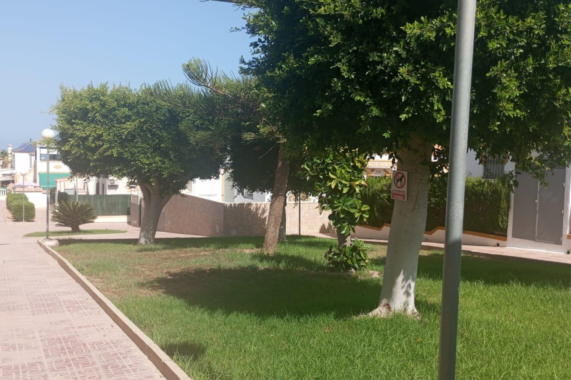 Herverkoop - Bungalow - Gelijkvloers - Torrevieja - Los altos