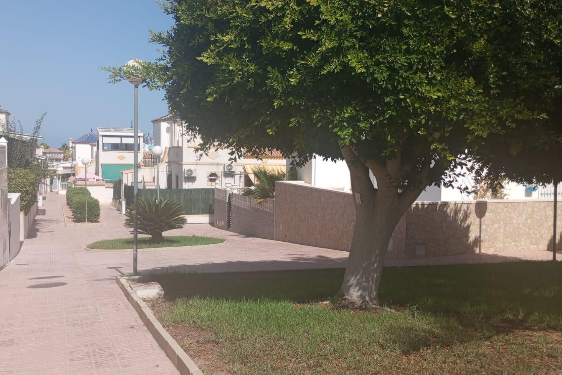 Herverkoop - Bungalow - Gelijkvloers - Torrevieja - Los altos