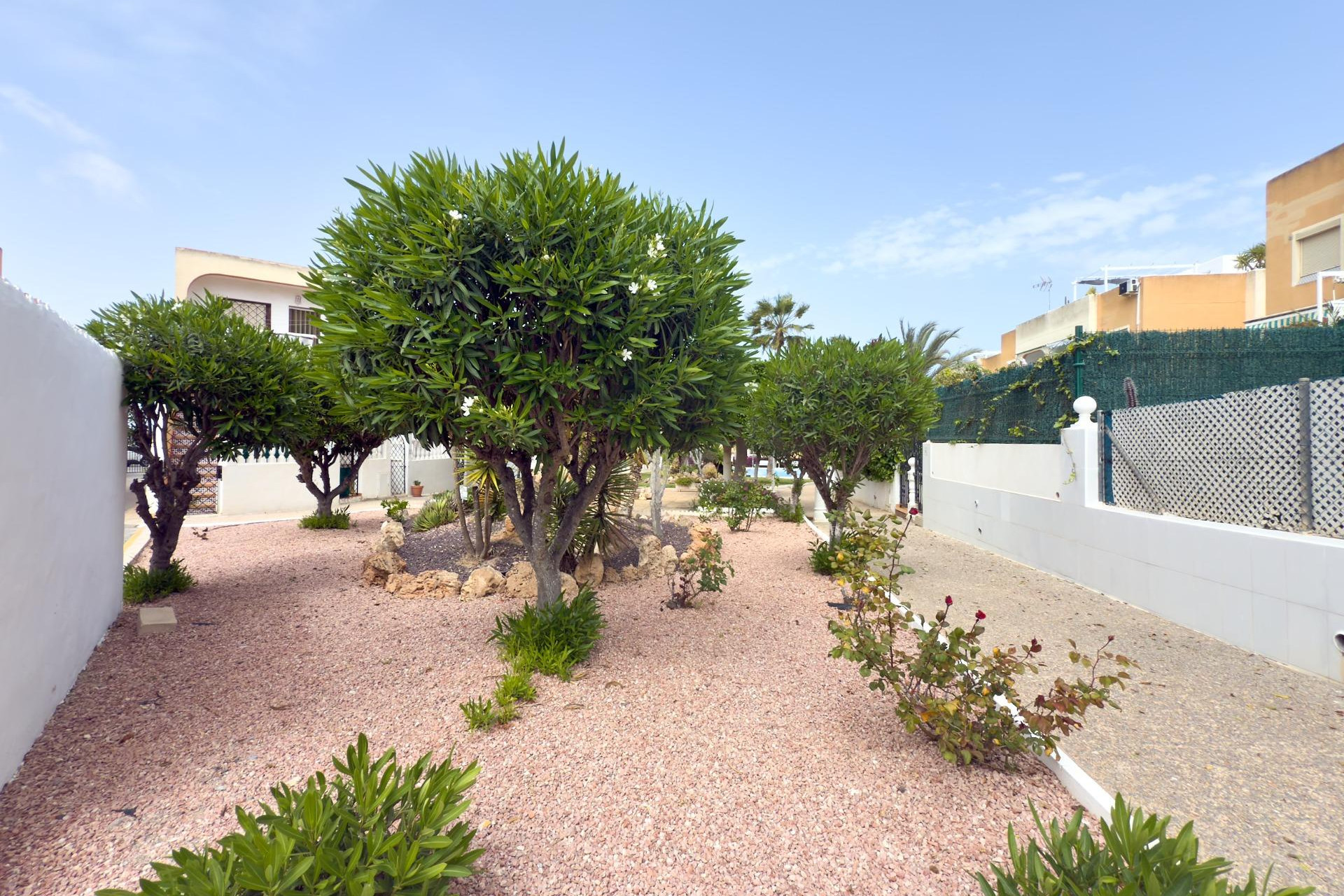 Herverkoop - Bungalow - Gelijkvloers - Torrevieja - Torreblanca