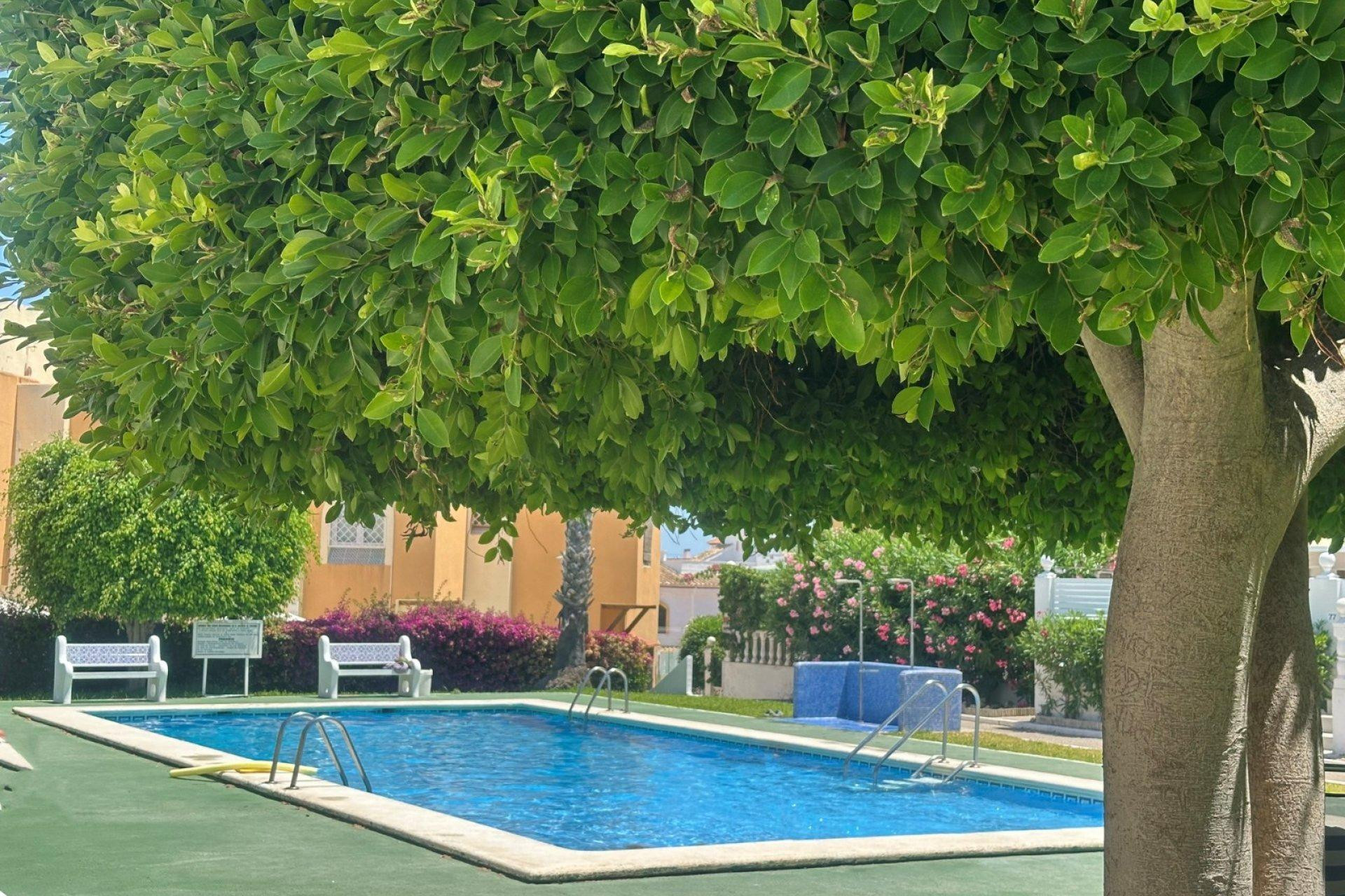 Herverkoop - Bungalow - Gelijkvloers - Torrevieja - Torreblanca