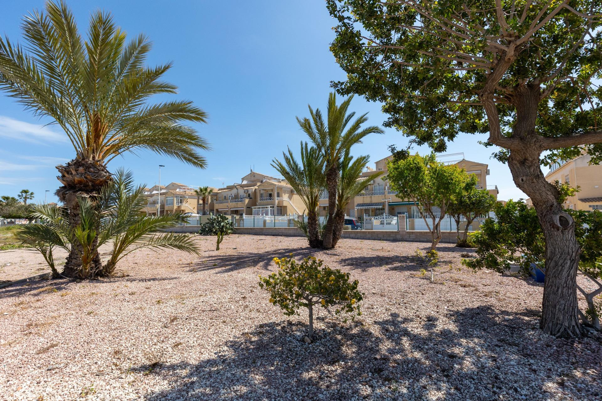Herverkoop - Bungalow - Gelijkvloers - Torrevieja - Torretas
