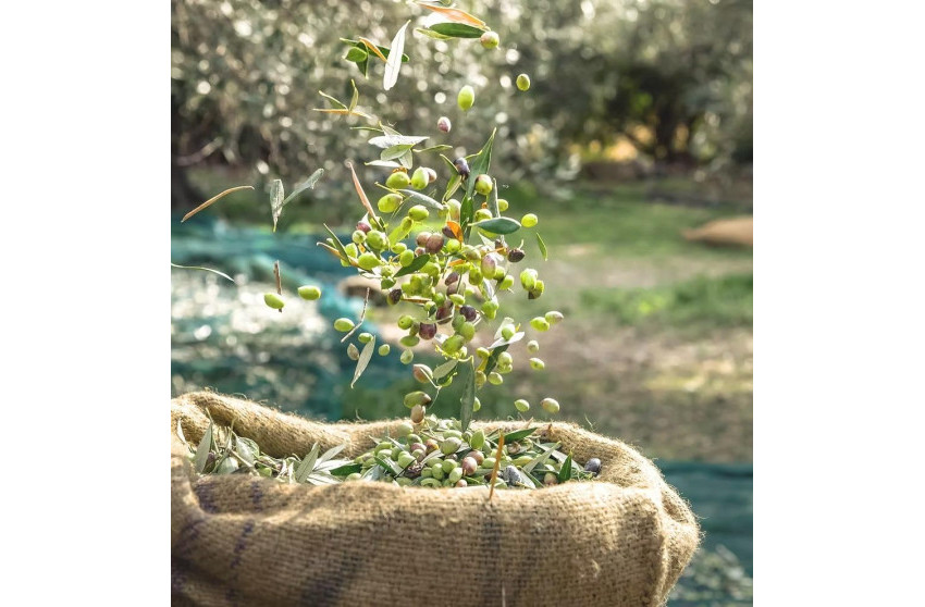 Herverkoop - Country land - Murcia - Rincón de Seca