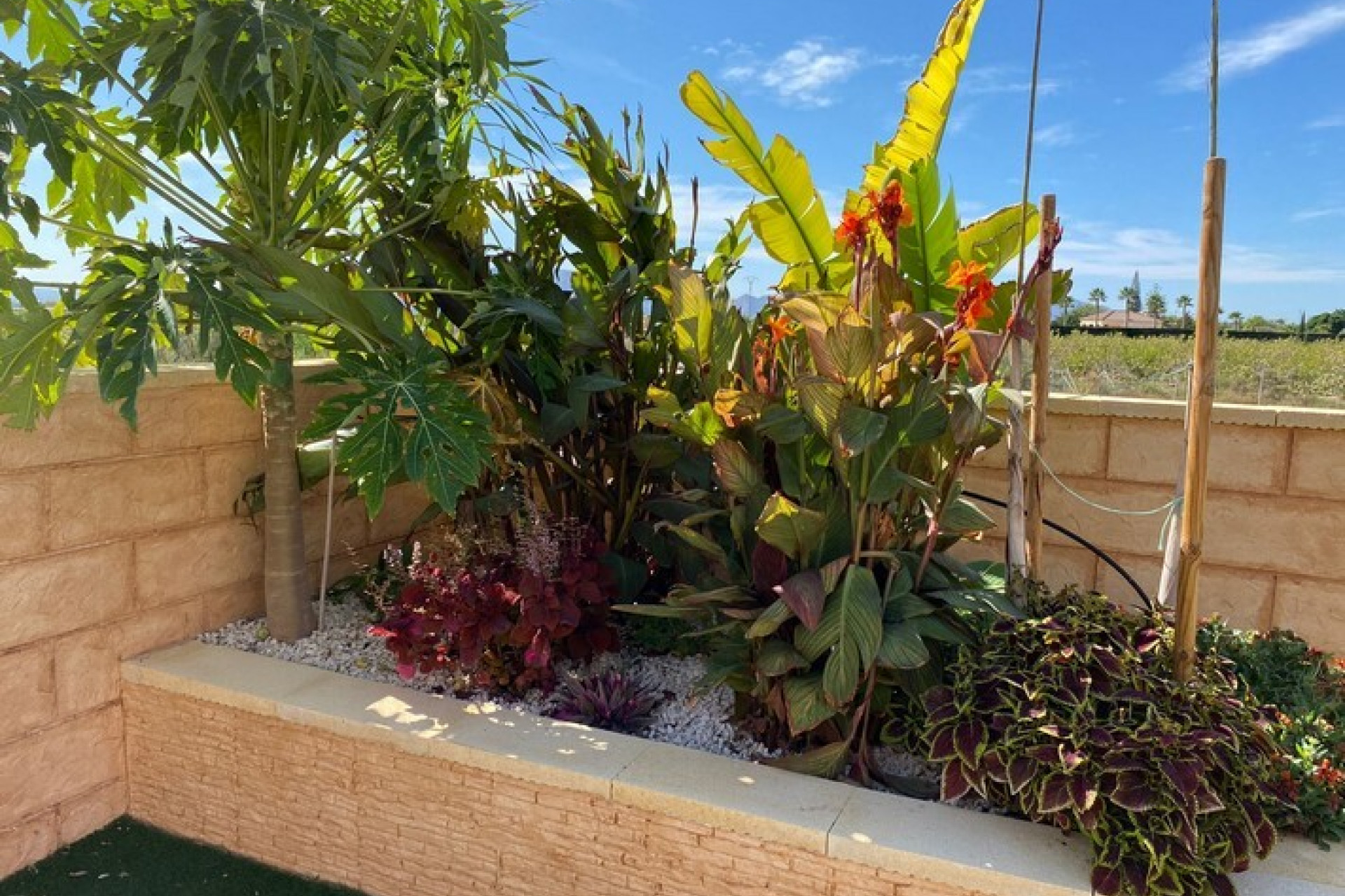 Herverkoop - Country Property - Albatera - Costa Blanca