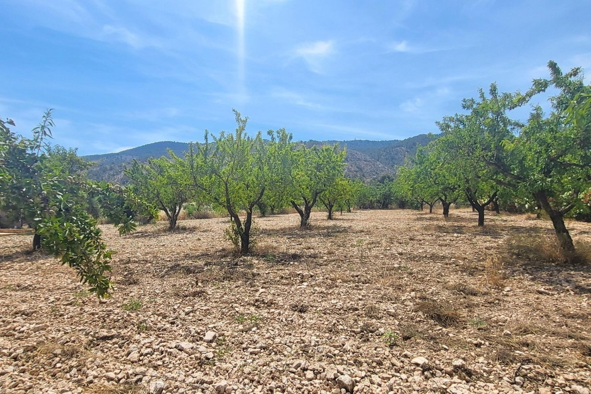Herverkoop - Country Property - Hondon - Hondon de Las Nieves
