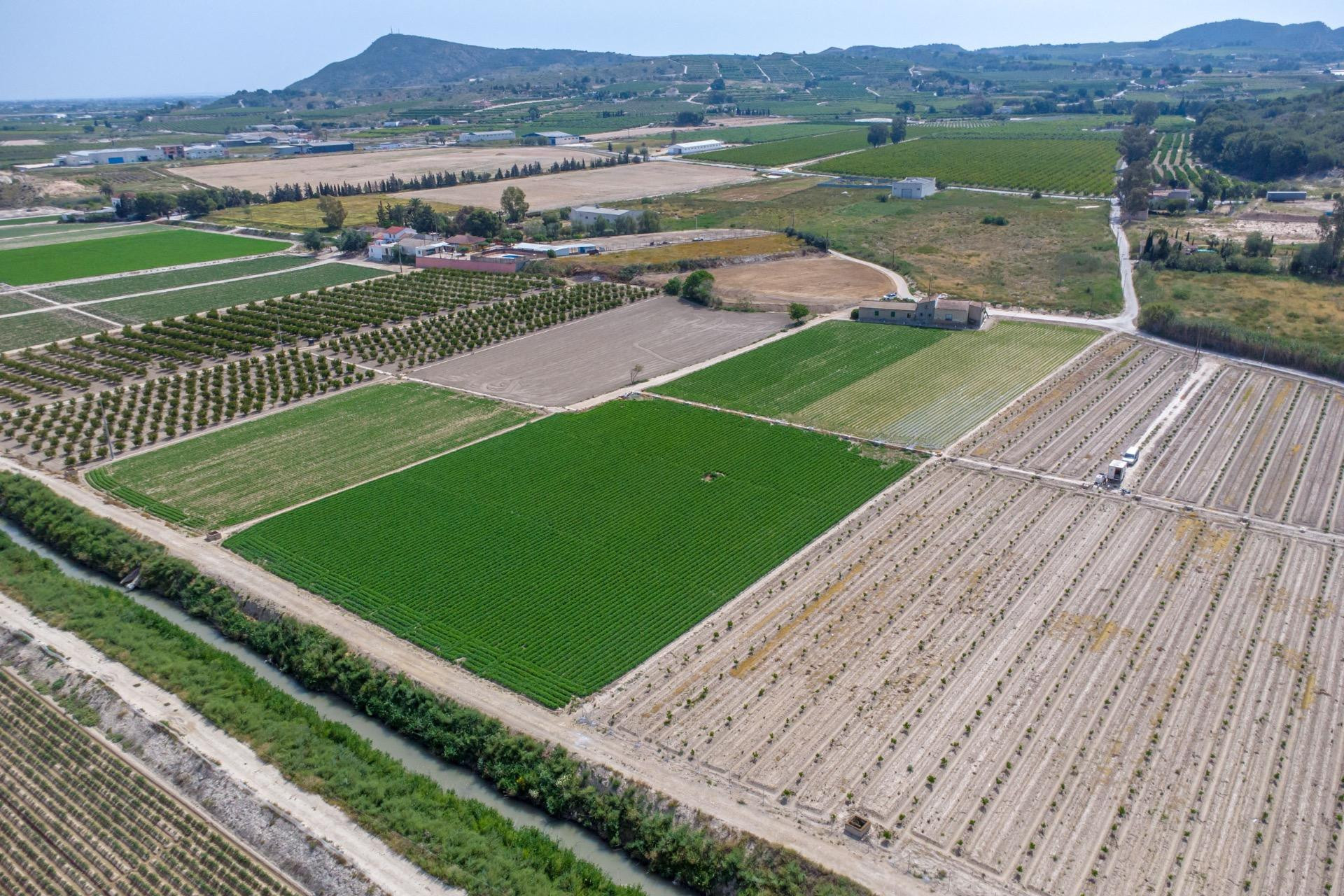 Herverkoop - Country Property - Orihuela - Los Desamparados