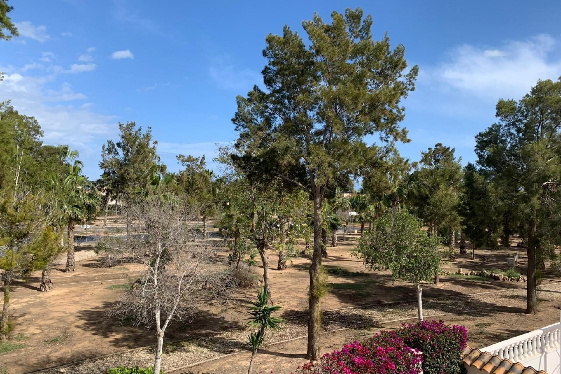 Herverkoop - Detached House / Villa - Guardamar del Segura - EL RASO