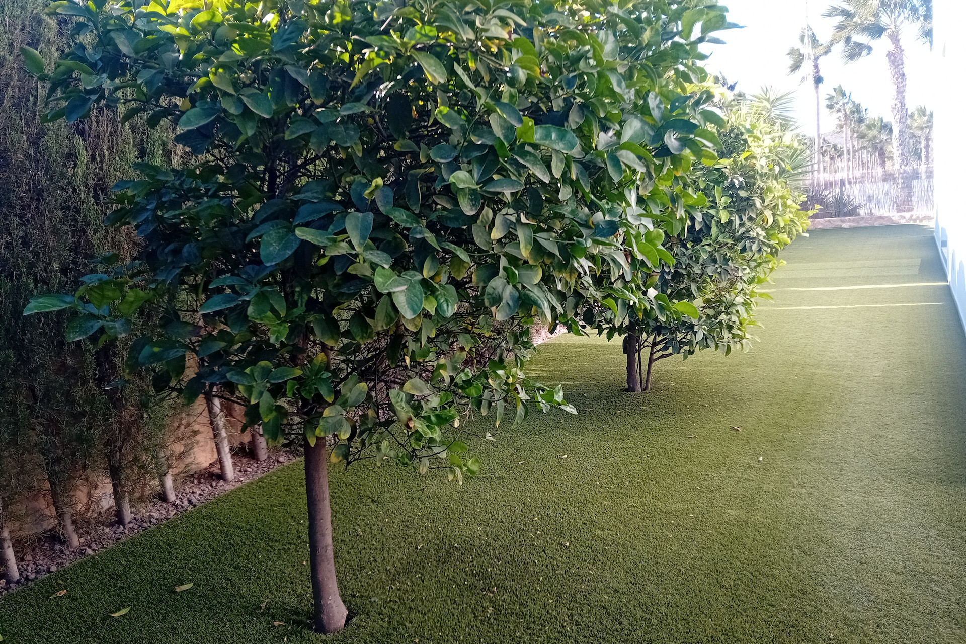 Herverkoop - Detached Villa - Algorfa - La Finca Golf