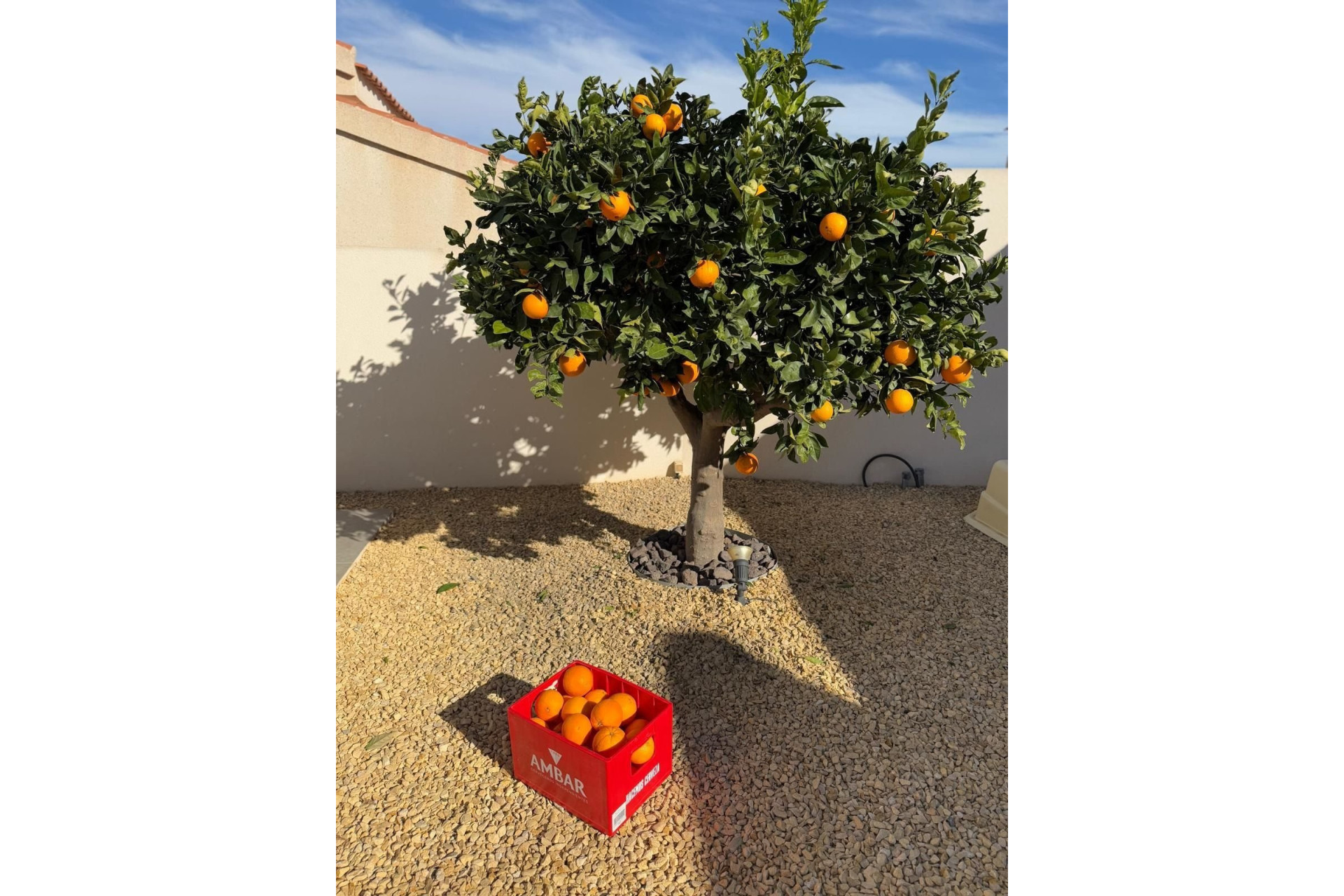 Herverkoop - Detached Villa - Ciudad Quesada - La Marquesa