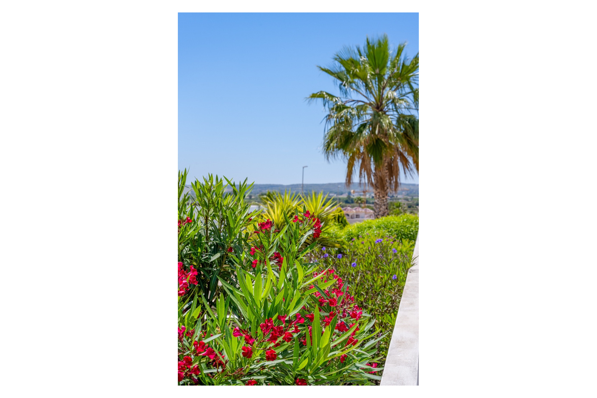 Herverkoop - Detached Villa - La Marina - La Marina - Urbanization