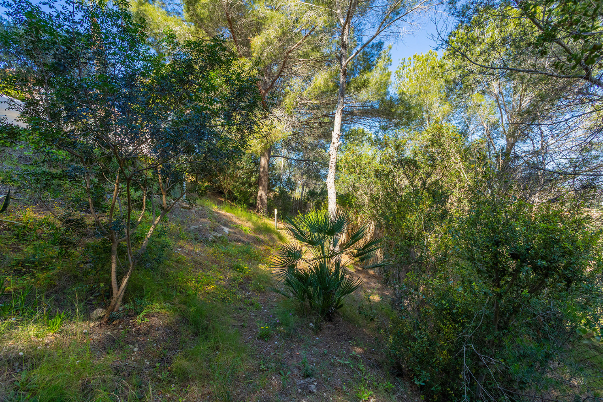 Herverkoop - Detached Villa - Orihuela Costa - Villamartin