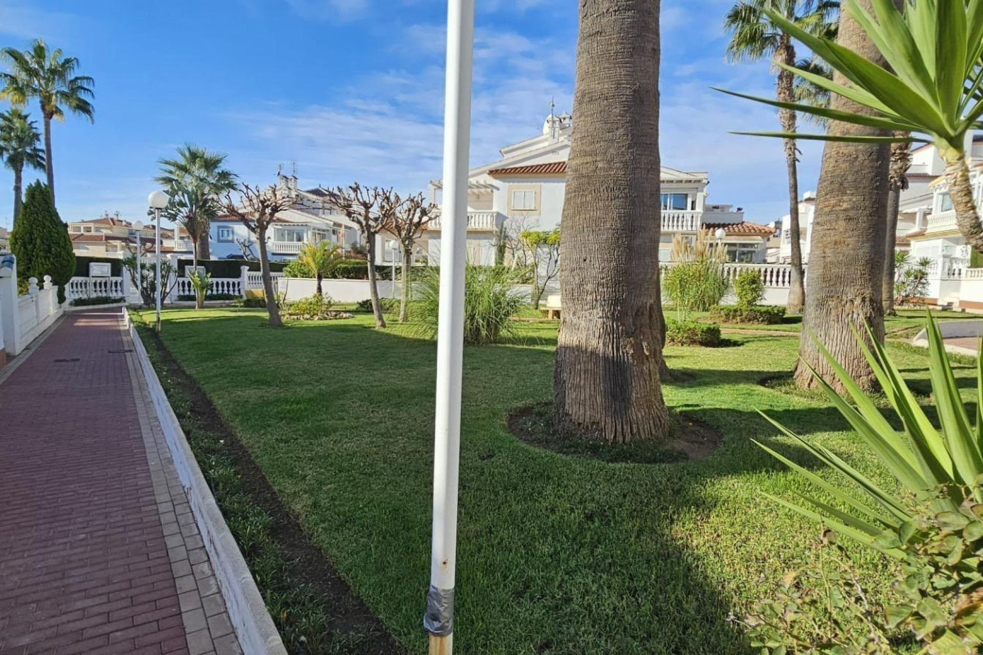 Herverkoop - duplex - Orihuela Costa - Punta Prima