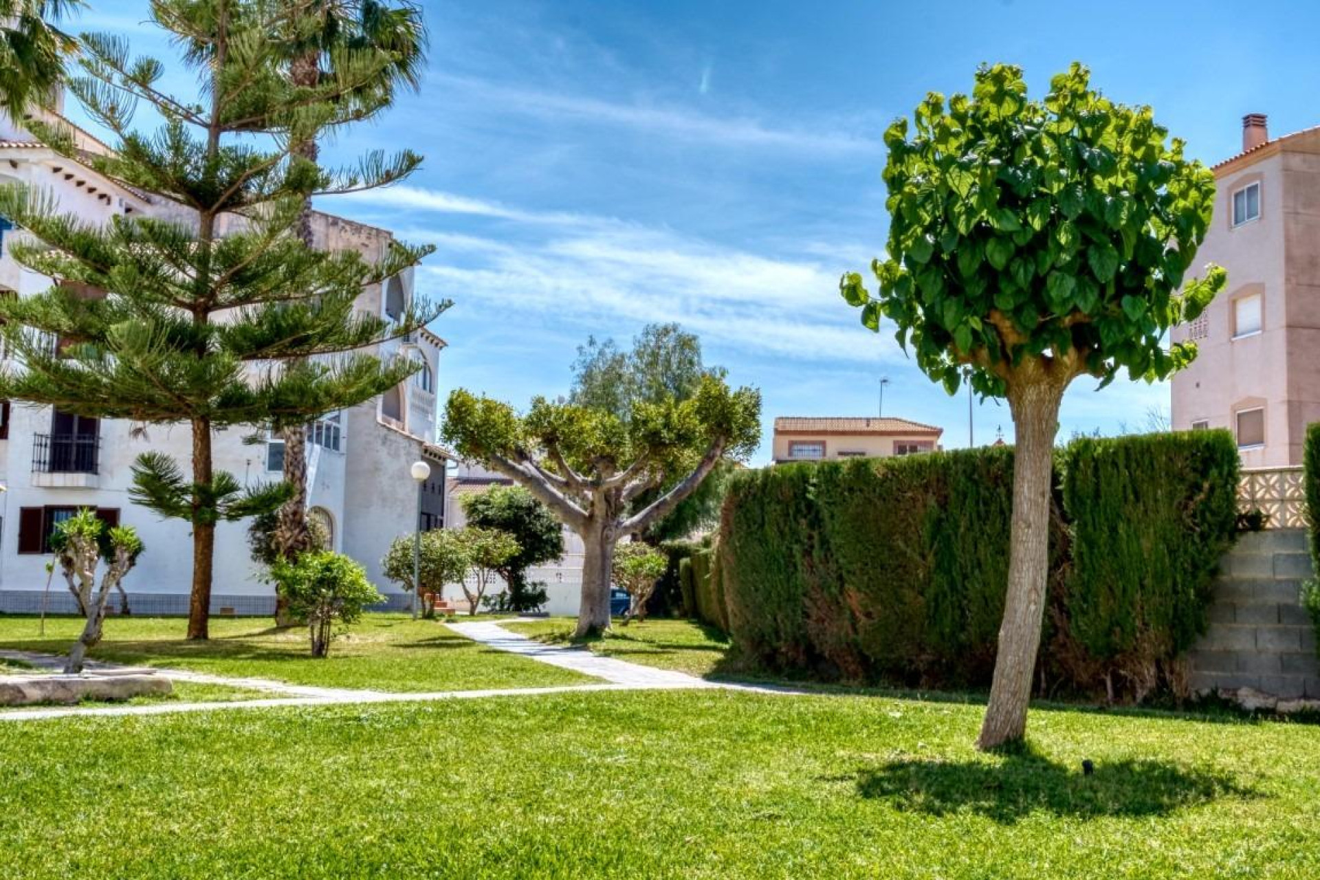Herverkoop - duplex - Torrevieja - Playa del cura