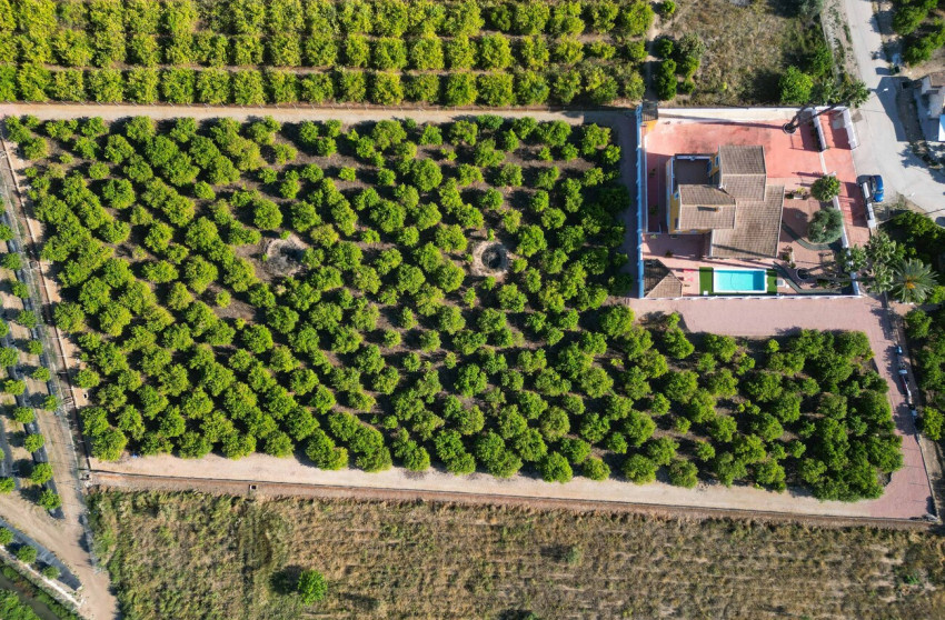 Herverkoop - Finca - Orihuela - Costa Blanca