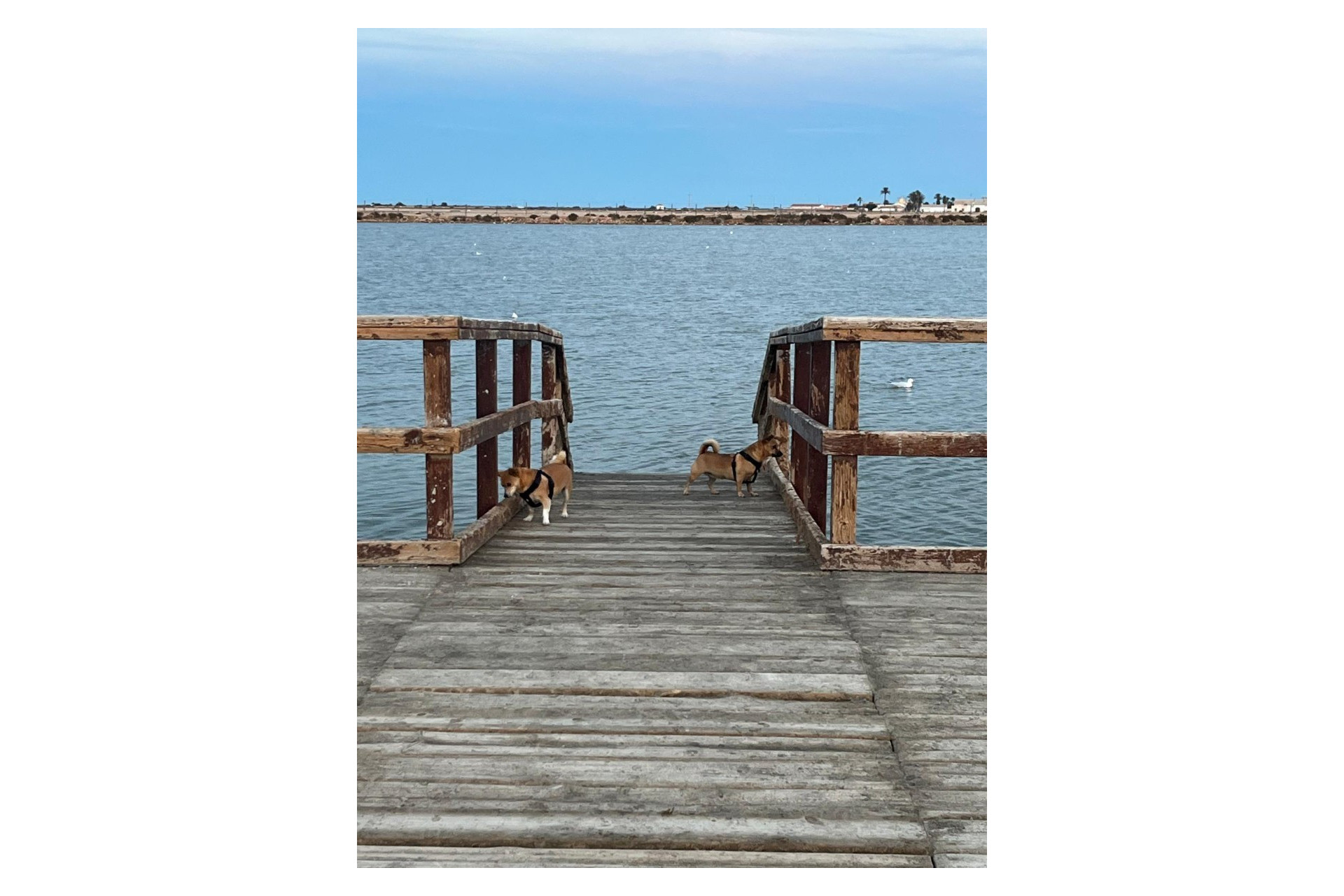 Herverkoop - Herenhuis - San Pedro del Pinatar - Los Antolinos