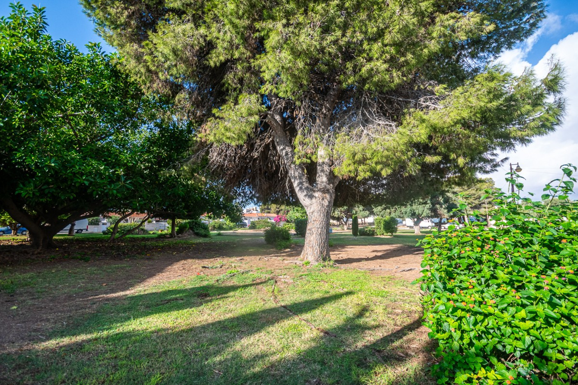 Herverkoop - House - Torrevieja - Calas Blancas