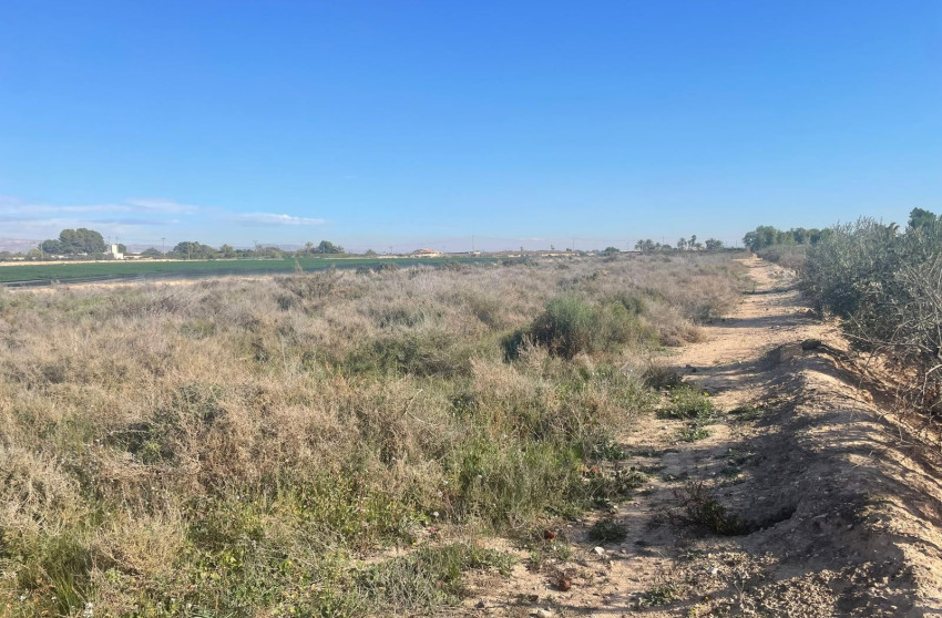 Herverkoop - Land - Crevillente - Crevillent