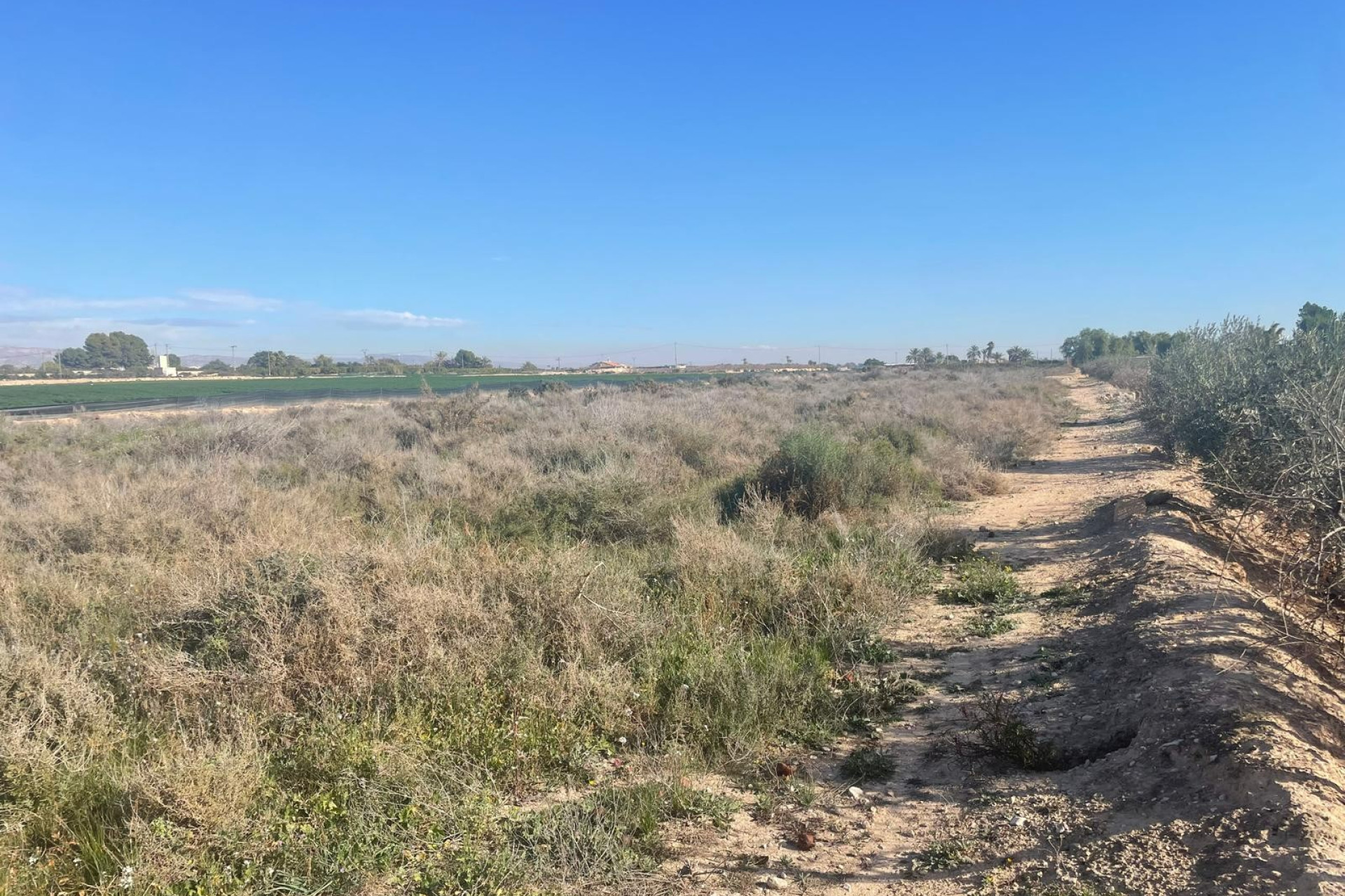 Herverkoop - Land - Crevillente - Crevillent