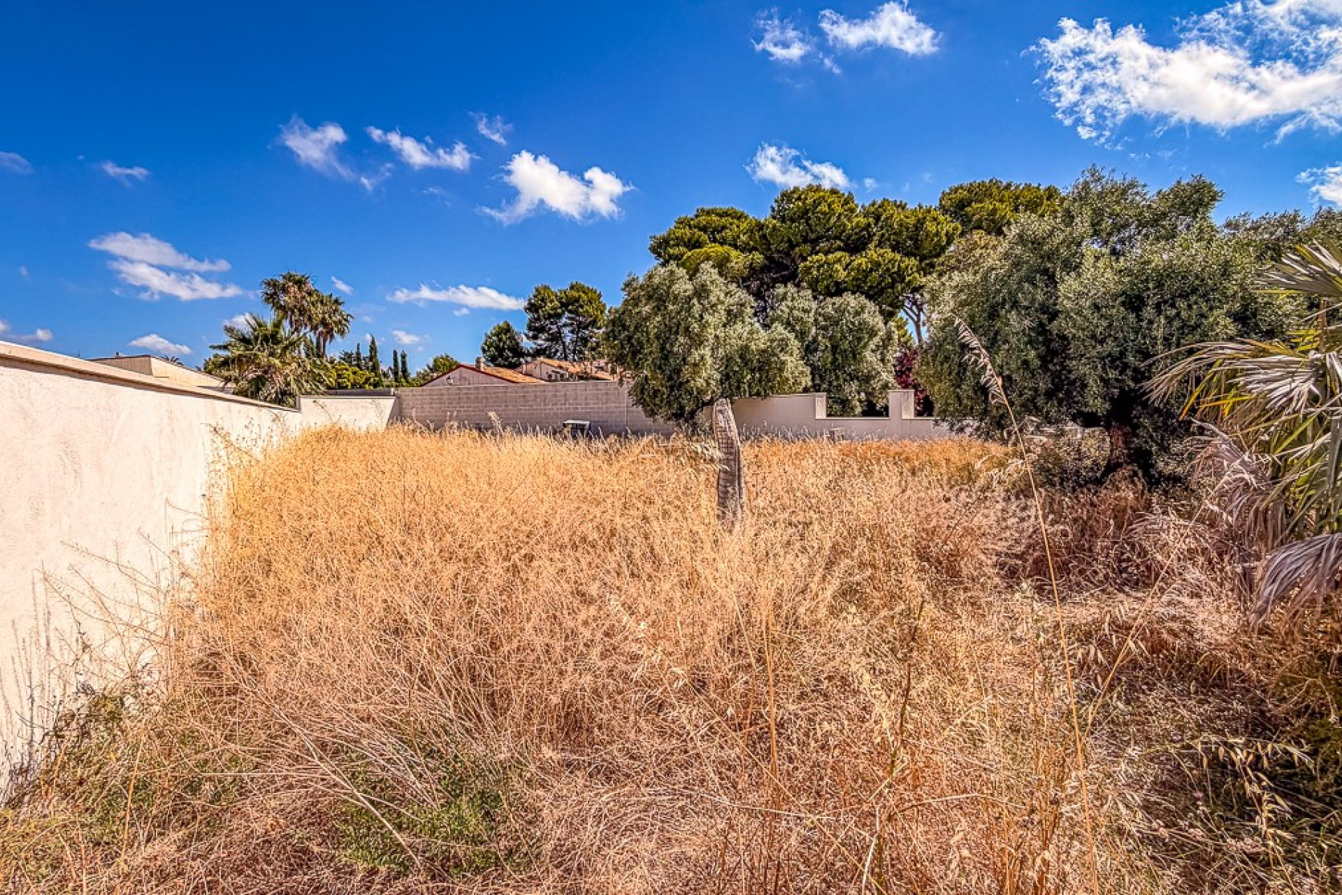 Herverkoop - Land - Santiago de la Ribera - zona san blas