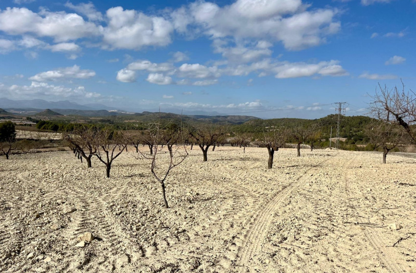 Herverkoop - Perceel / Grond - Bullas - Costa Calida