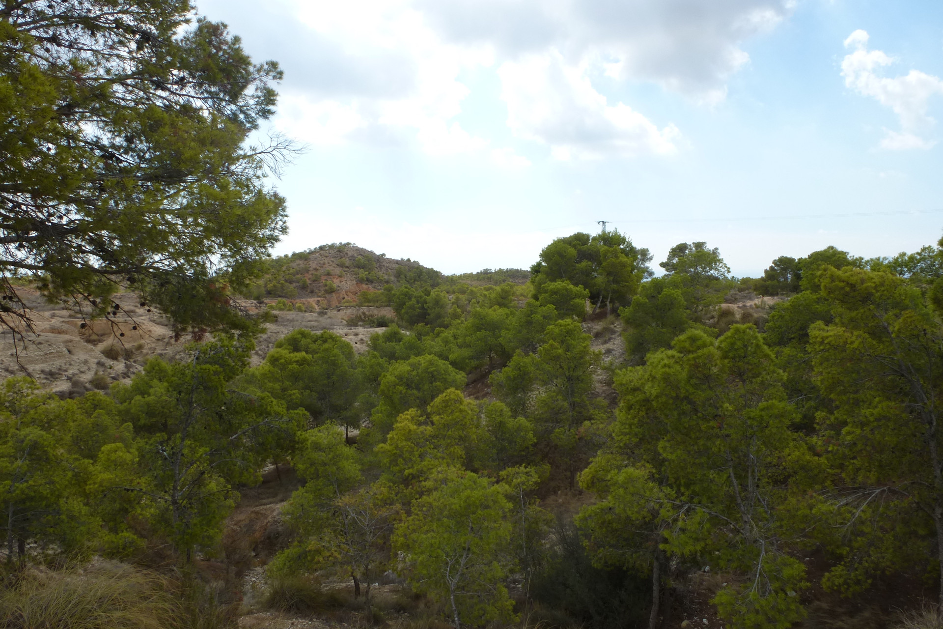 Herverkoop - Plot of Land - Crevillente - Crevillente - Country