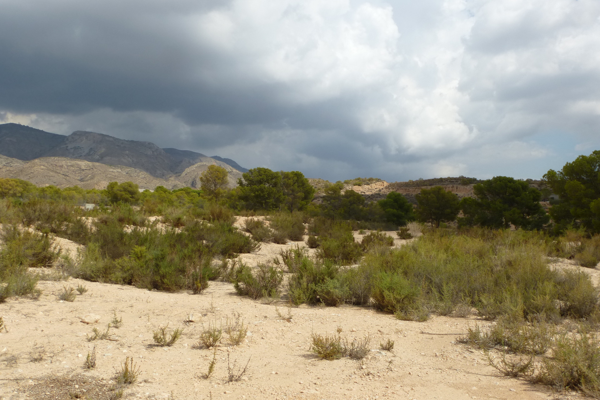 Herverkoop - Plot of Land - Crevillente - Crevillente - Country