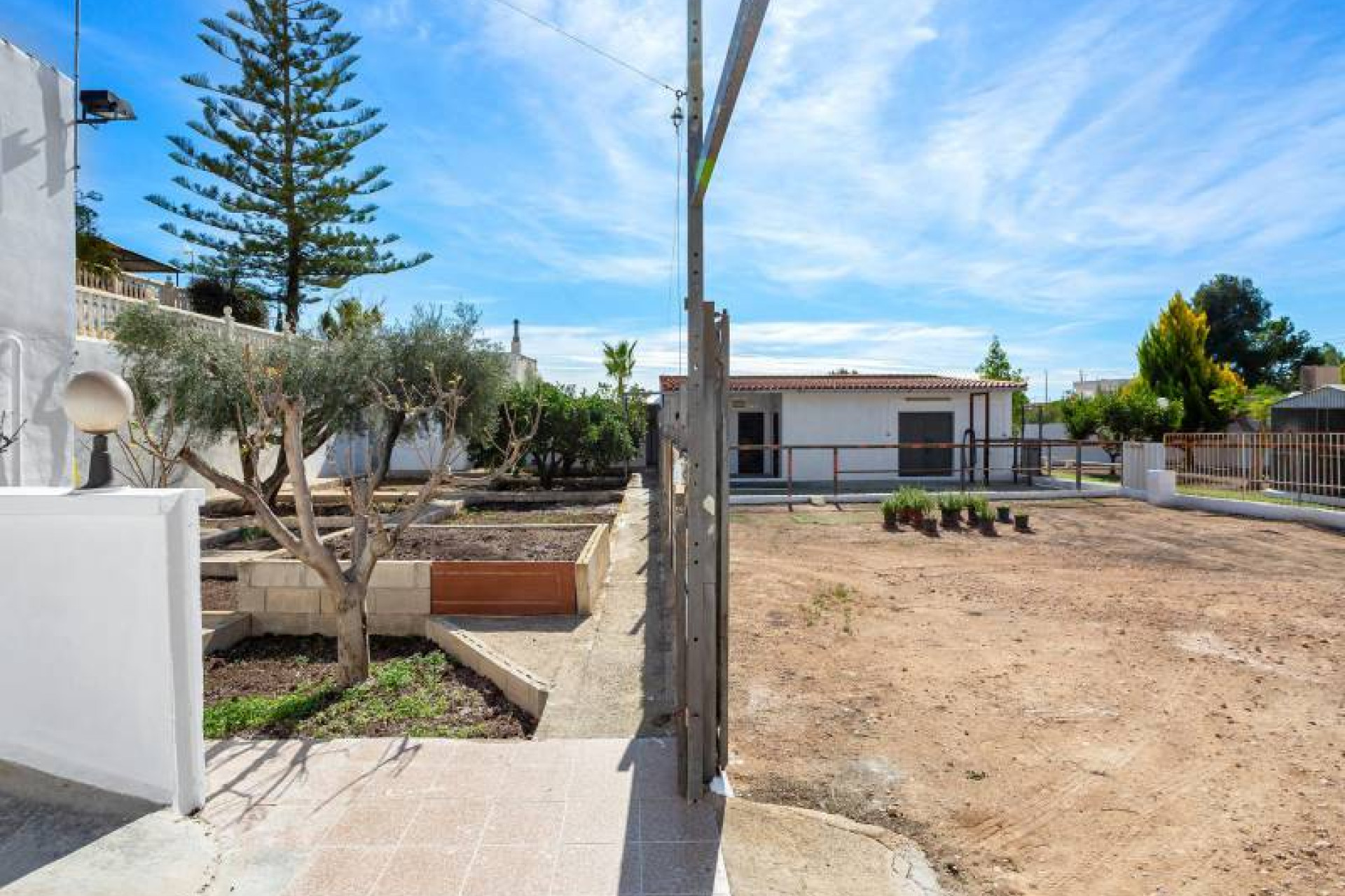 Herverkoop - Rustic property - Albatera - Albatera Campo