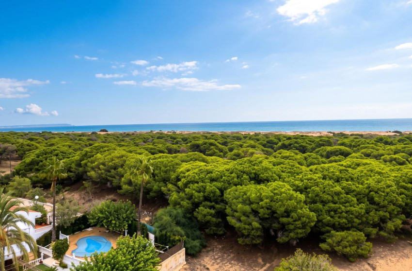 Herverkoop - Studio - Guardamar del Segura - Lomas de Polo-Pinomar