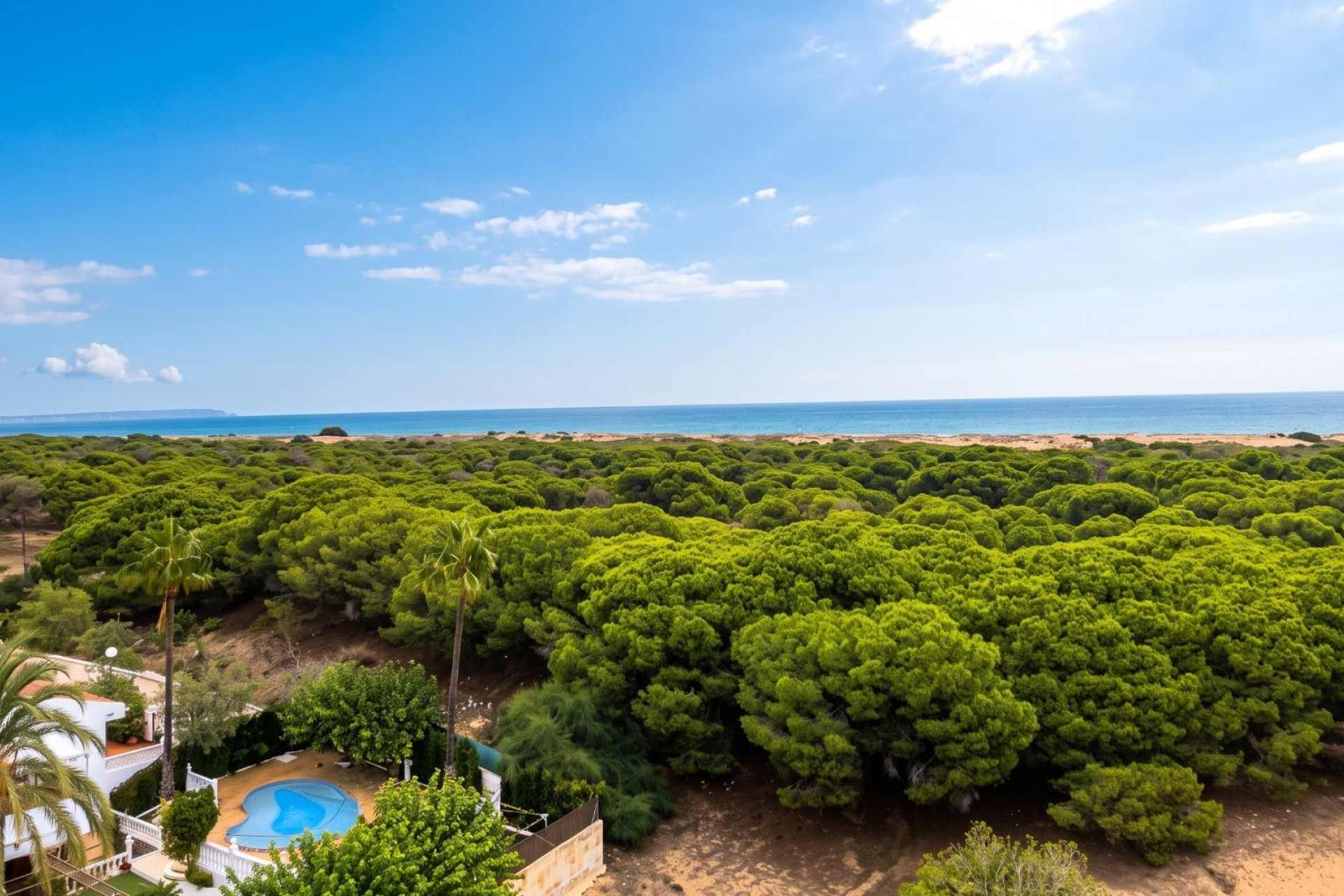 Herverkoop - Studio - Guardamar del Segura - Lomas de Polo-Pinomar