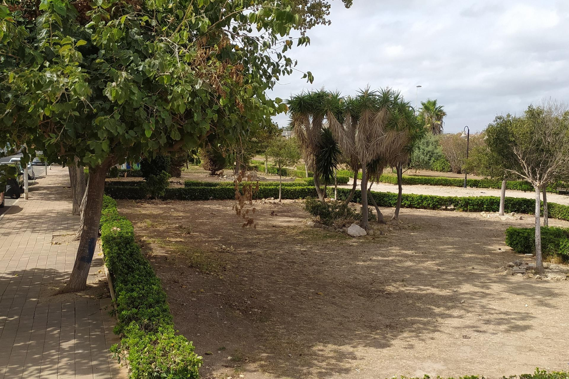 Herverkoop - Studio - Torrevieja - Acequion