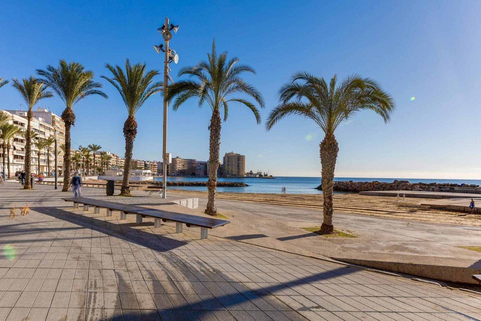 Herverkoop - Studio - Torrevieja - Estacion de autobuses