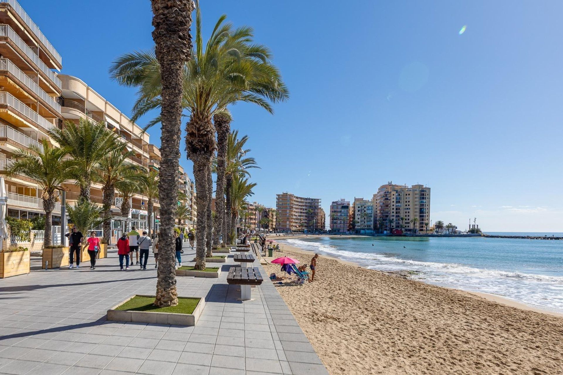 Herverkoop - Studio - Torrevieja - Estacion de autobuses