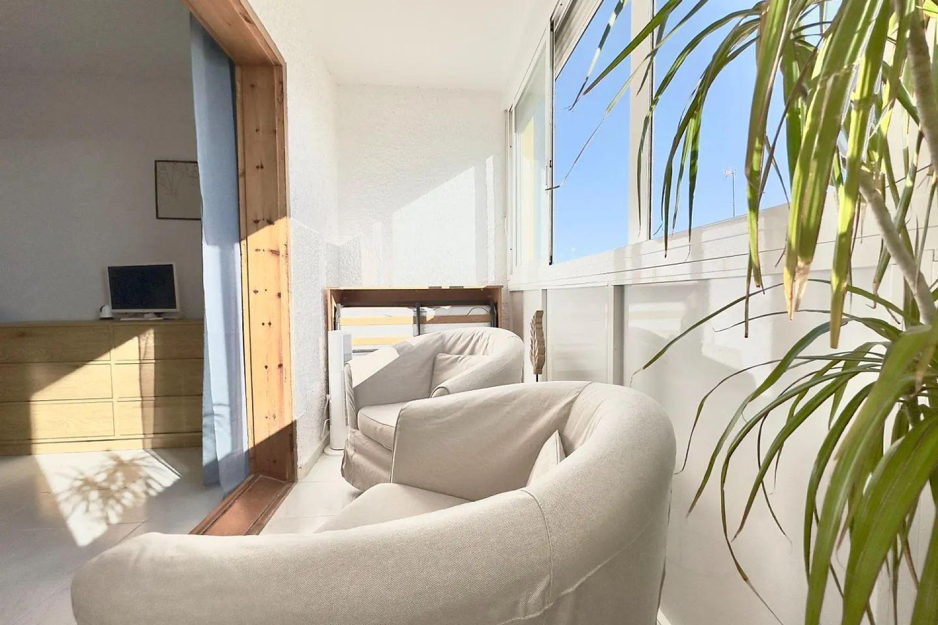 Herverkoop - Studio - Torrevieja - Los Europeos