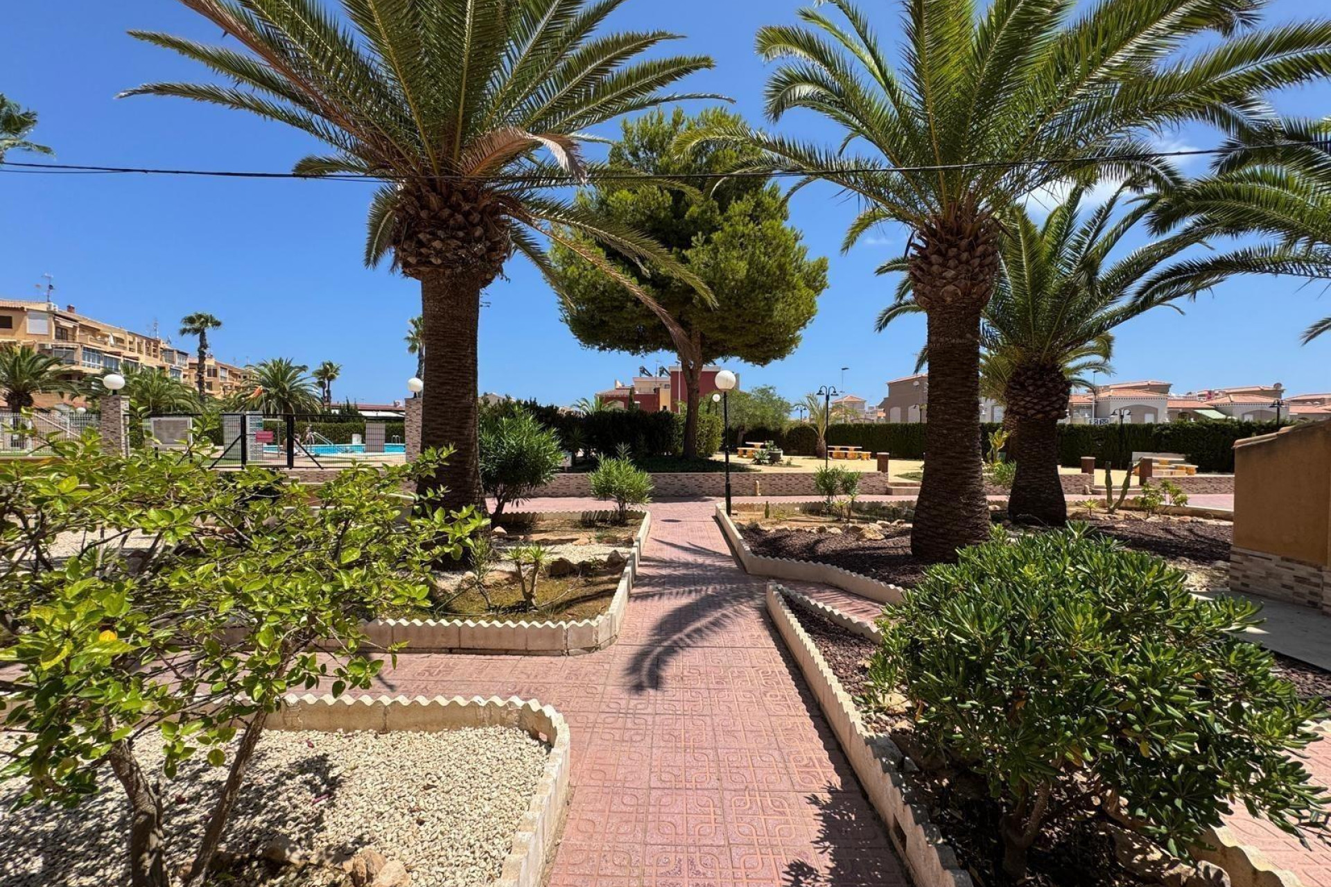 Herverkoop - Studio - Torrevieja - torrevieja