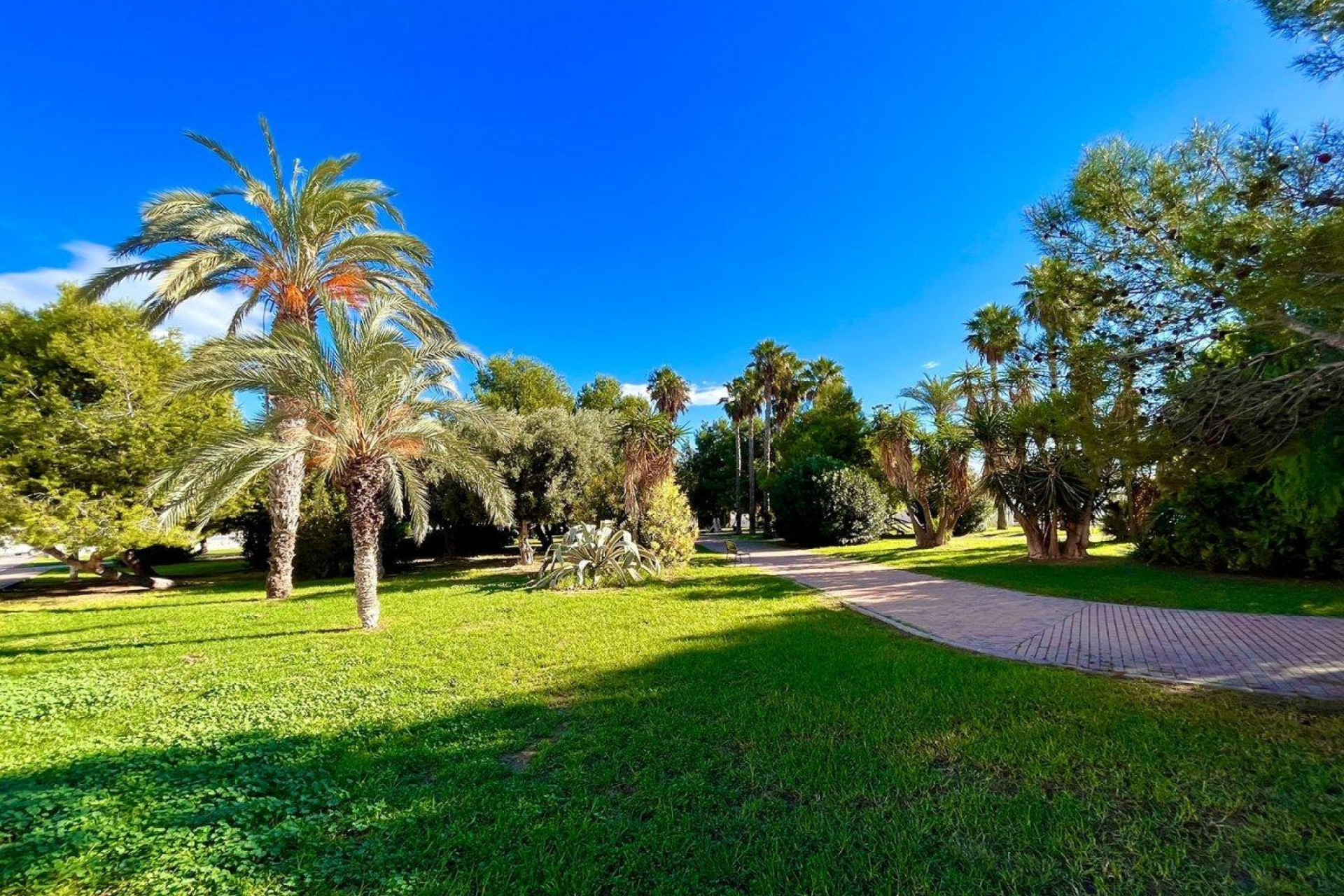 Herverkoop - Terraced house - Torrevieja - Calas blanca